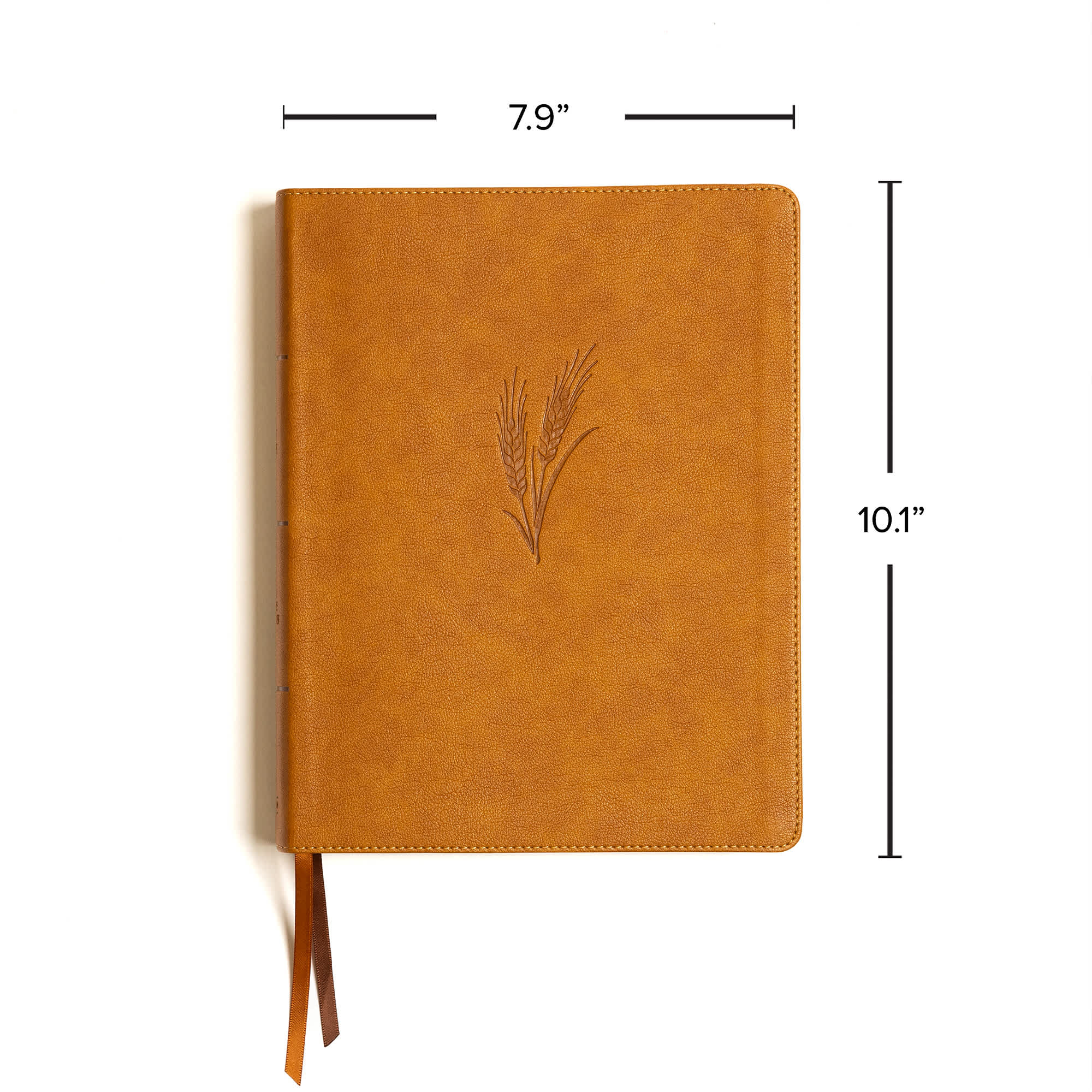 slide 8 of 11 for KJV Notetaking Bible, Large Print Edition, Camel LeatherTouch