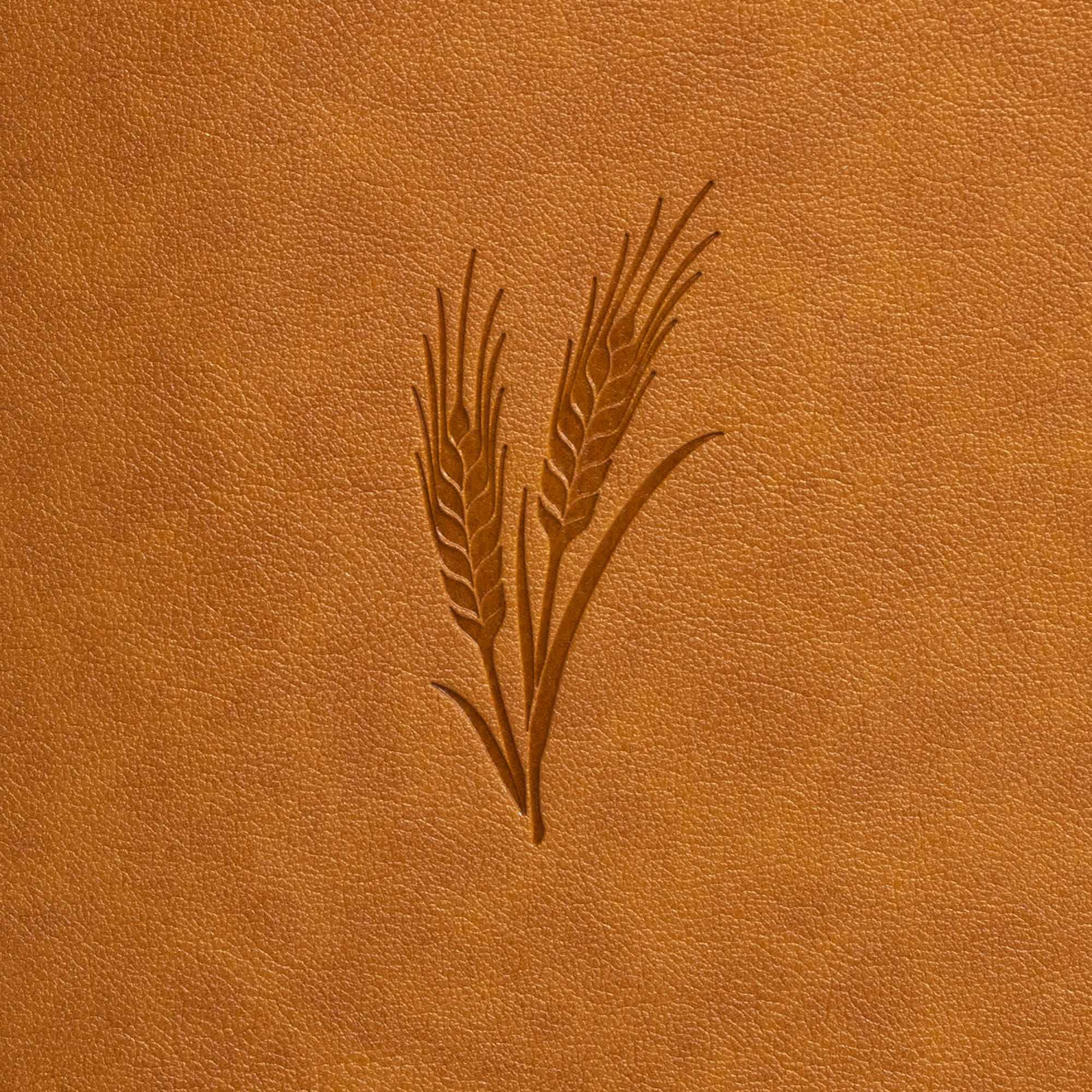 slide 9 of 11 for KJV Notetaking Bible, Large Print Edition, Camel LeatherTouch