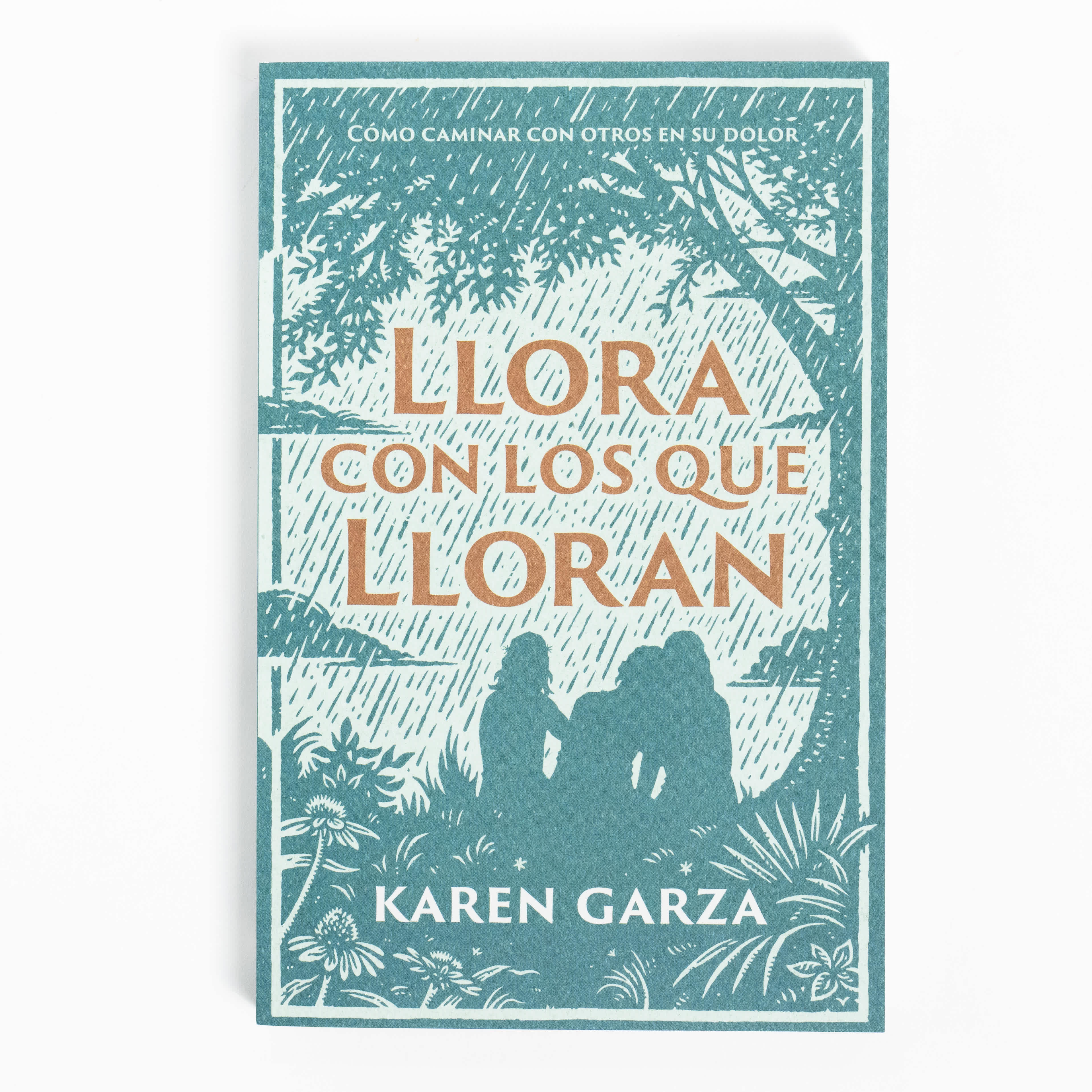 slide 2 of 5 for Llora con los que lloran