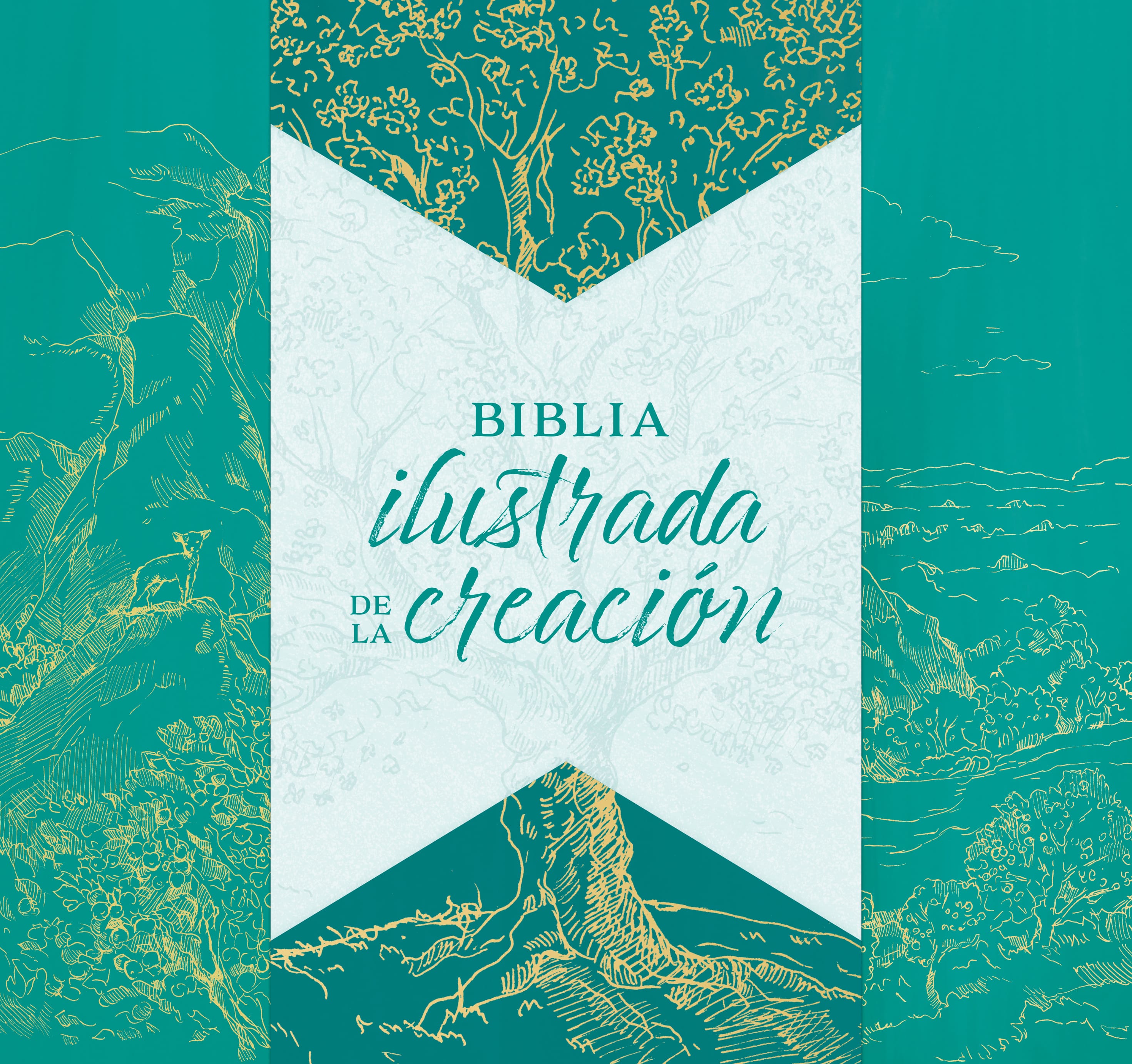 slide 3 of 12 for RVR 1960 Biblia ilustrada de la creación, turquesa, tela