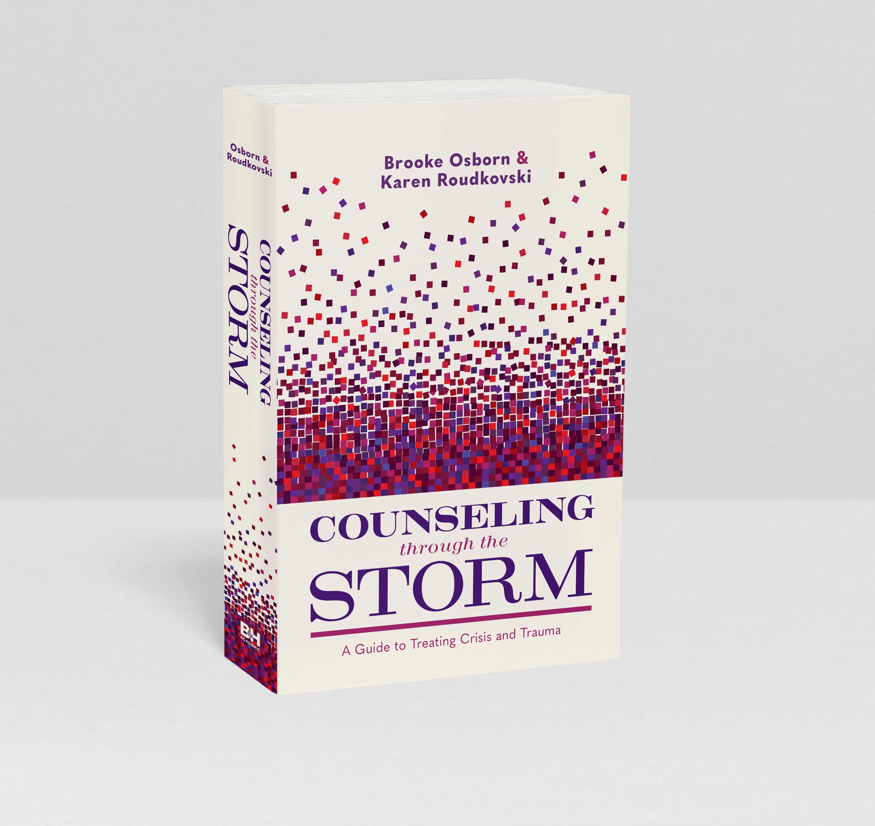 slide 3 of 3 for Counseling Through the Storm
