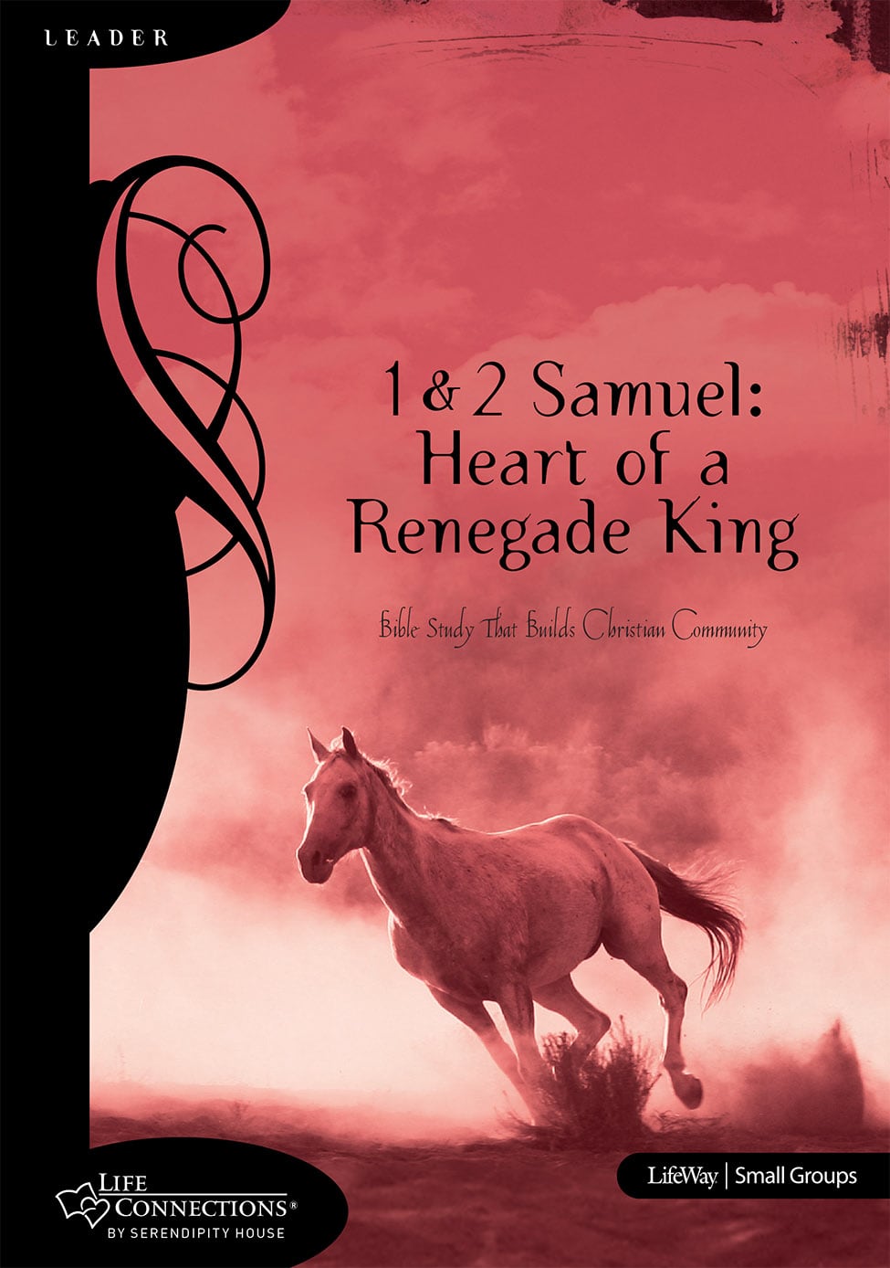 eBook - Life Connections: 1 & 2 Samuel: Heart of a Renegade King - Leader Guide