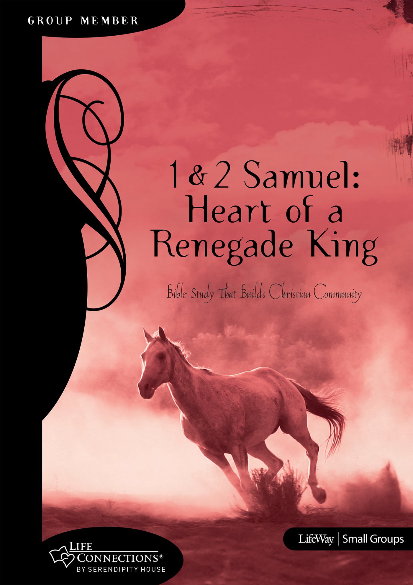 eBook - Life Connections: 1 & 2 Samuel: Heart of a Renegade King - Member Book