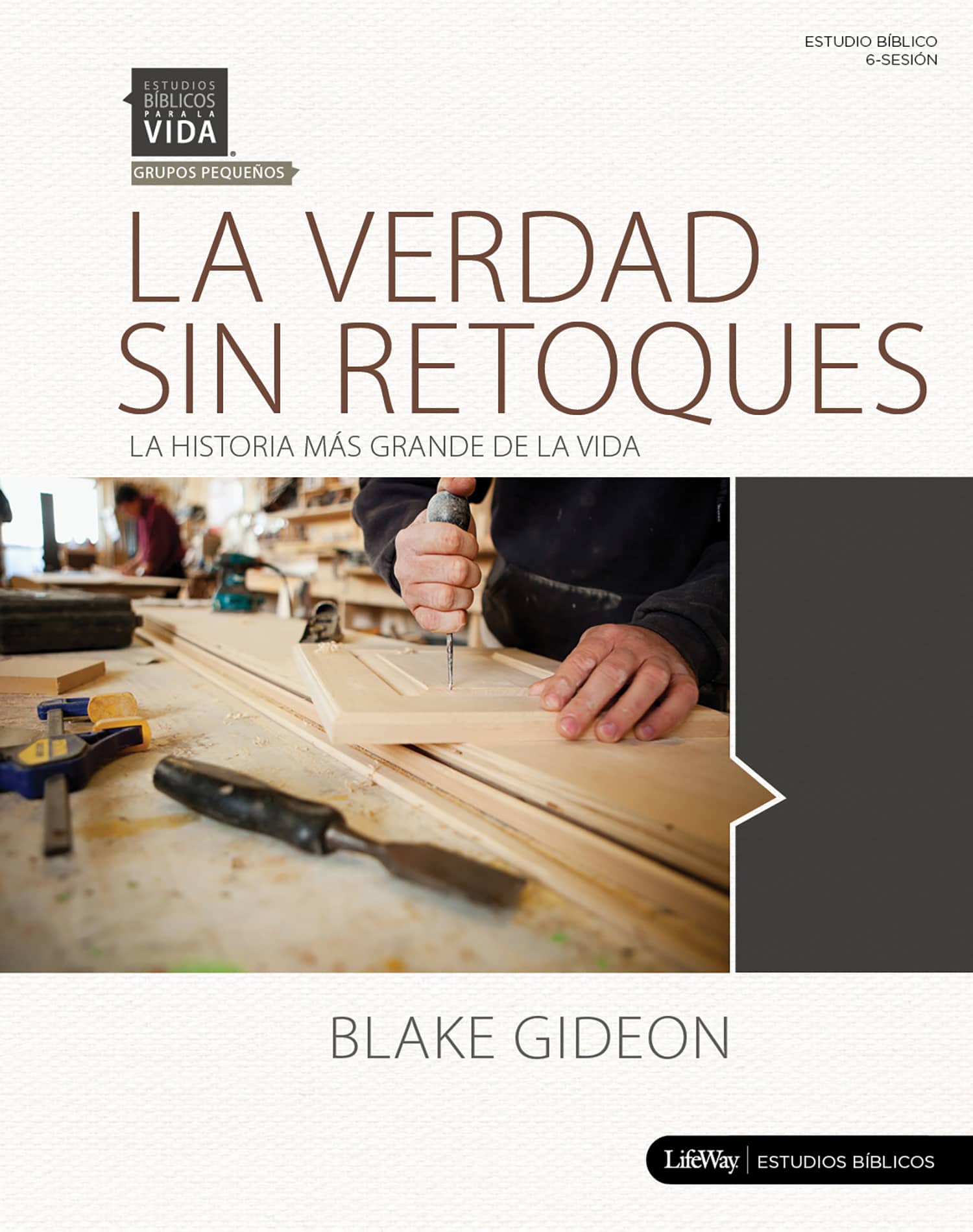 eBook - La verdad sin retoques