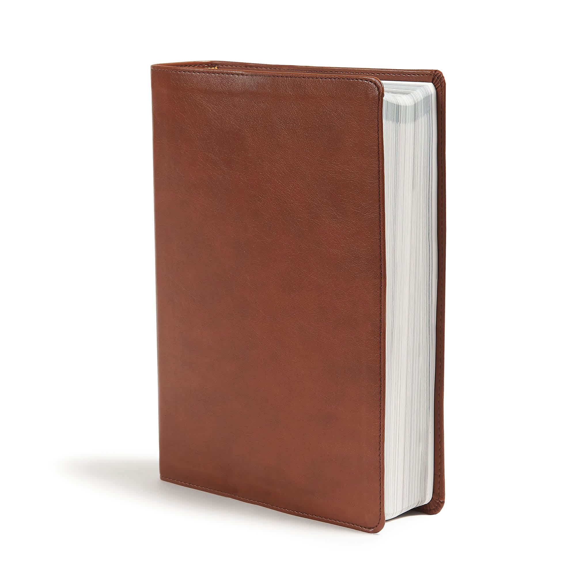 slide 3 of 10 for CSB Holy Land Illustrated Bible, British Tan LeatherTouch