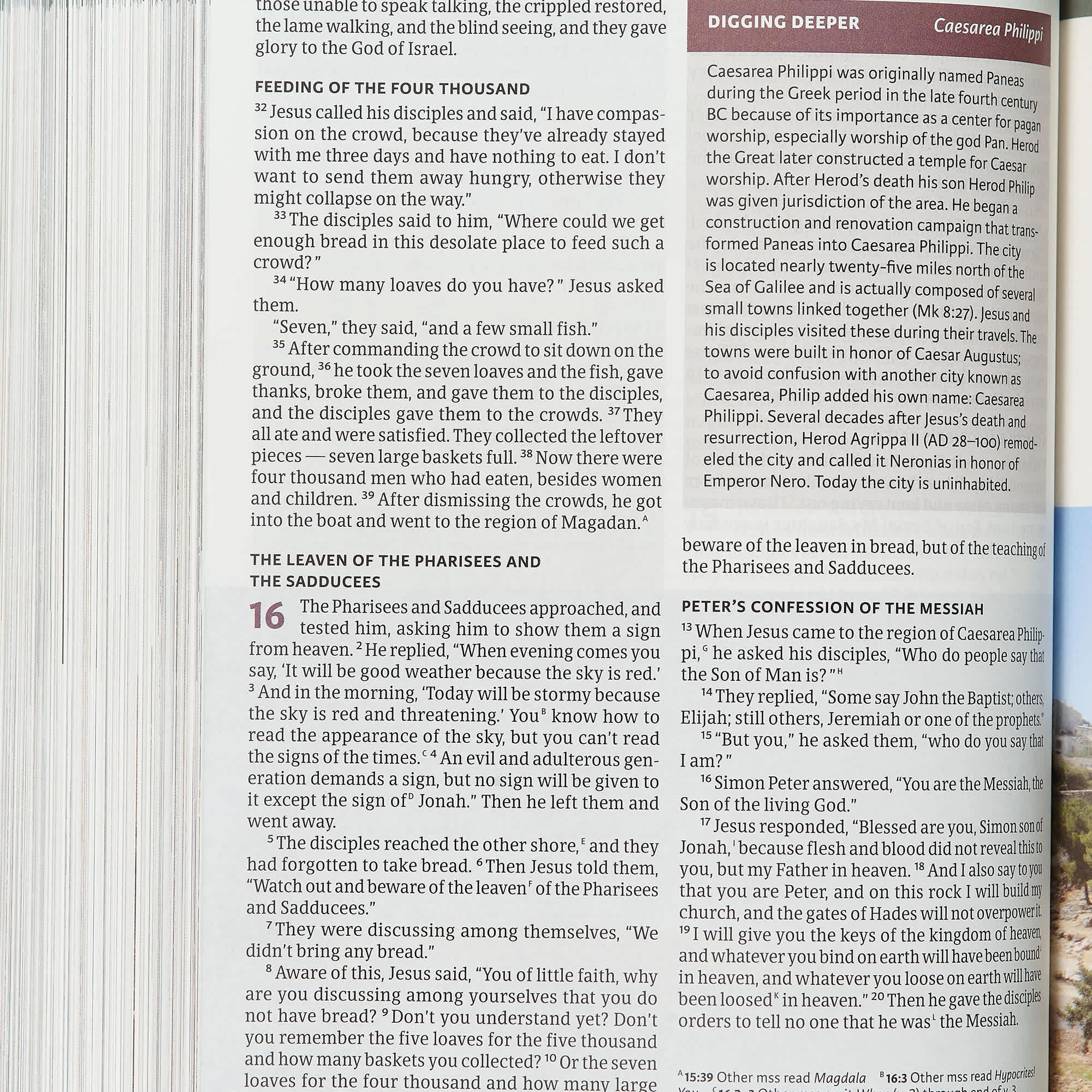 slide 6 of 10 for CSB Holy Land Illustrated Bible, British Tan LeatherTouch