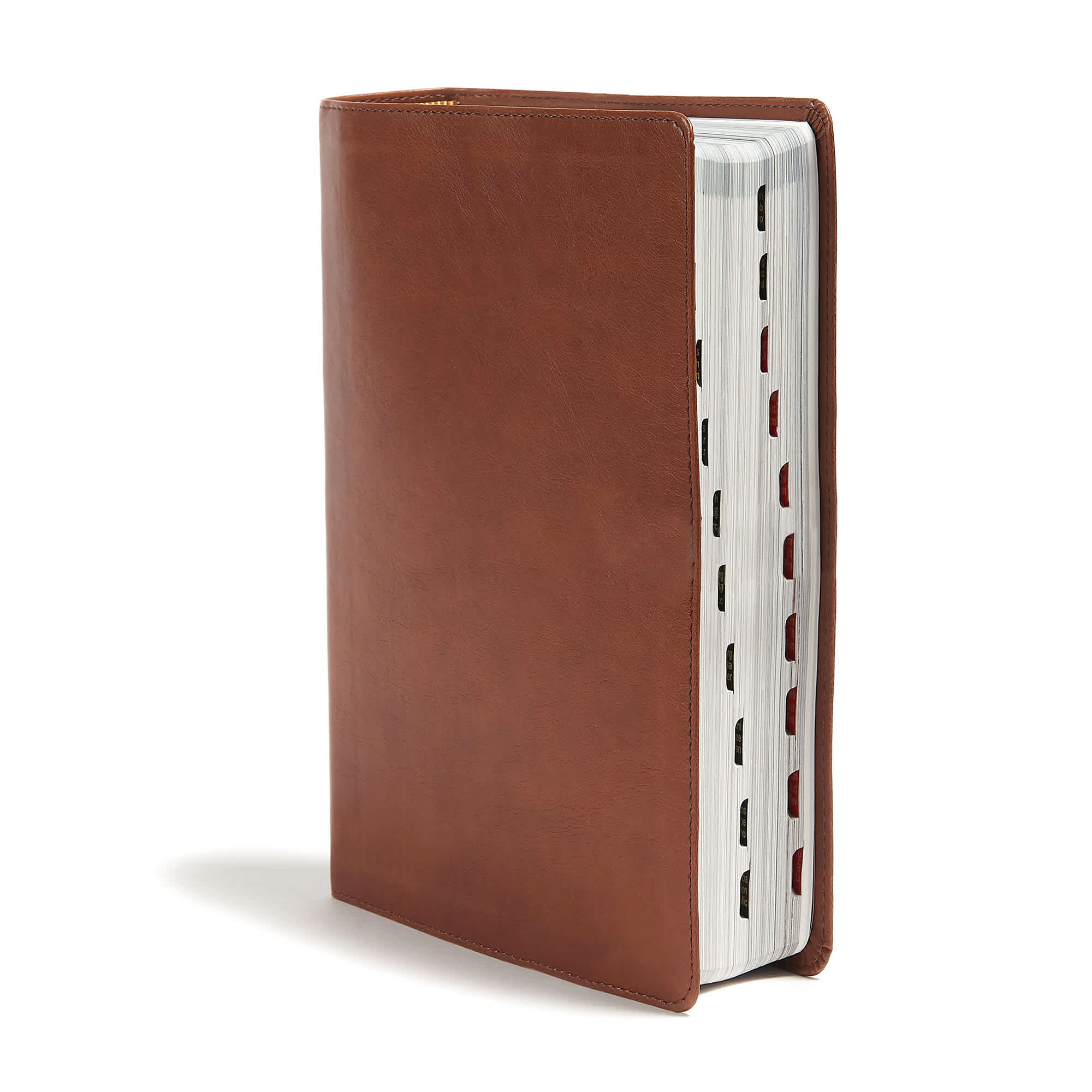 slide 3 of 10 for CSB Holy Land Illustrated Bible, British Tan LeatherTouch, Indexed