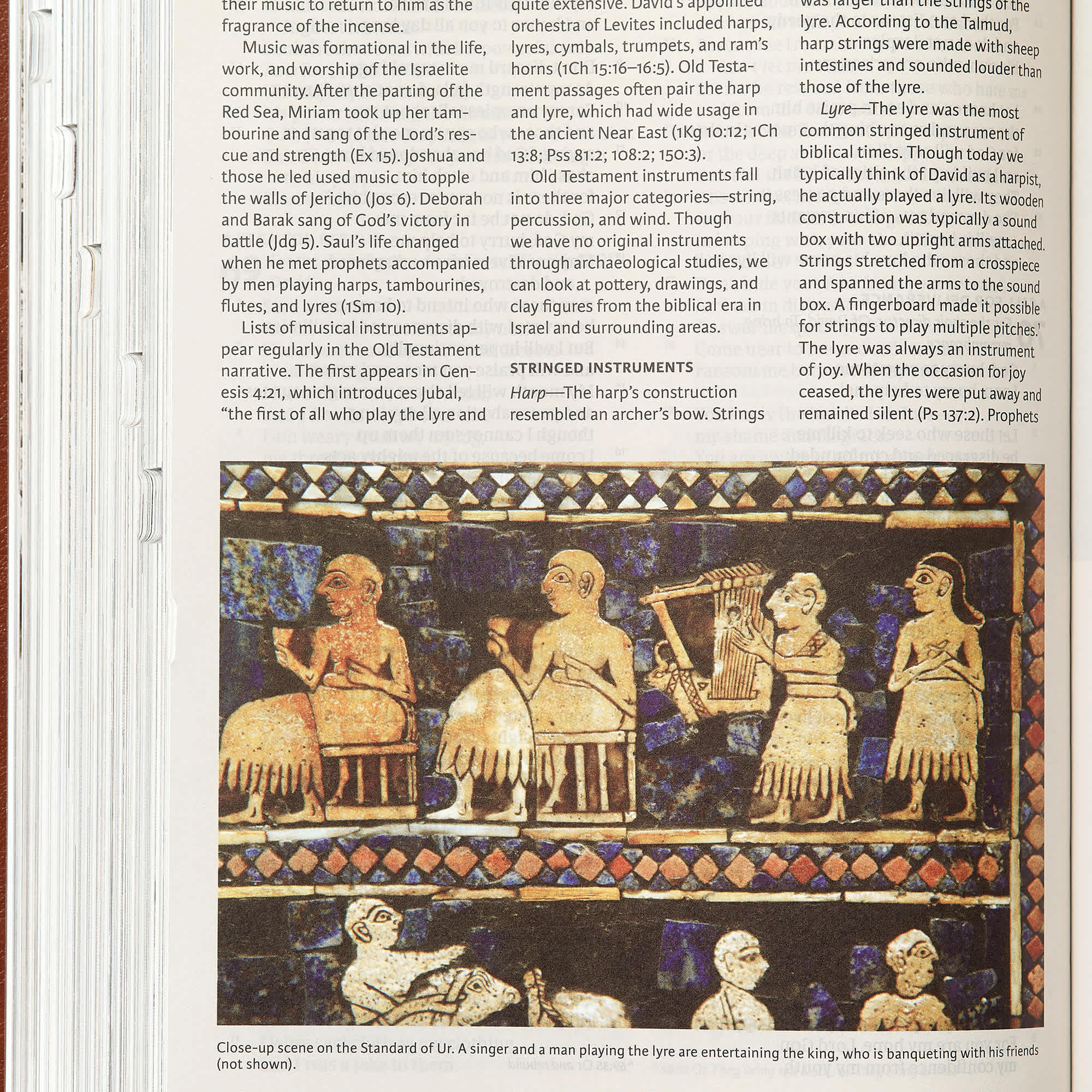 slide 5 of 10 for CSB Holy Land Illustrated Bible, British Tan LeatherTouch, Indexed