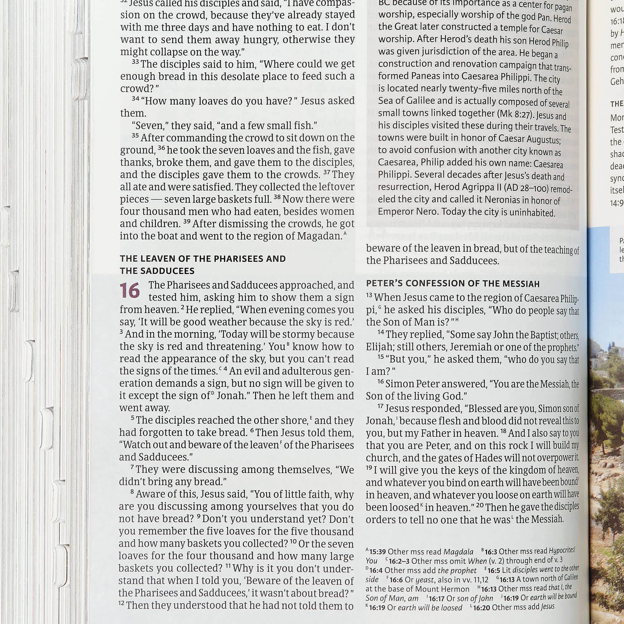 slide 6 of 10 for CSB Holy Land Illustrated Bible, British Tan LeatherTouch, Indexed