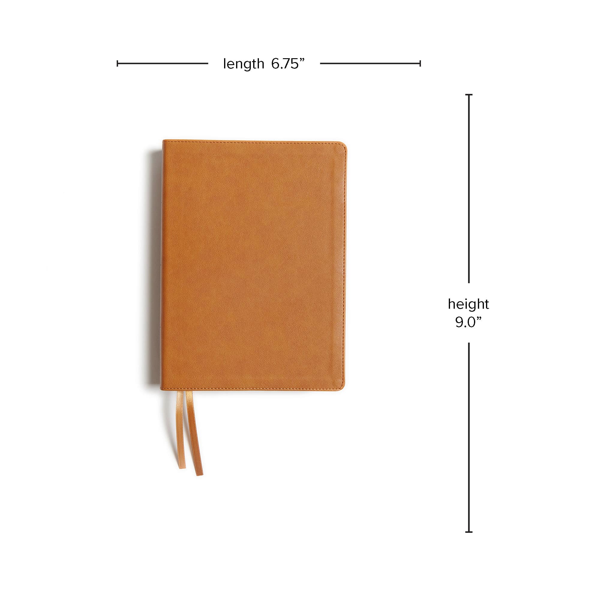 slide 8 of 10 for CSB Holy Land Illustrated Bible, Ginger LeatherTouch, Indexed