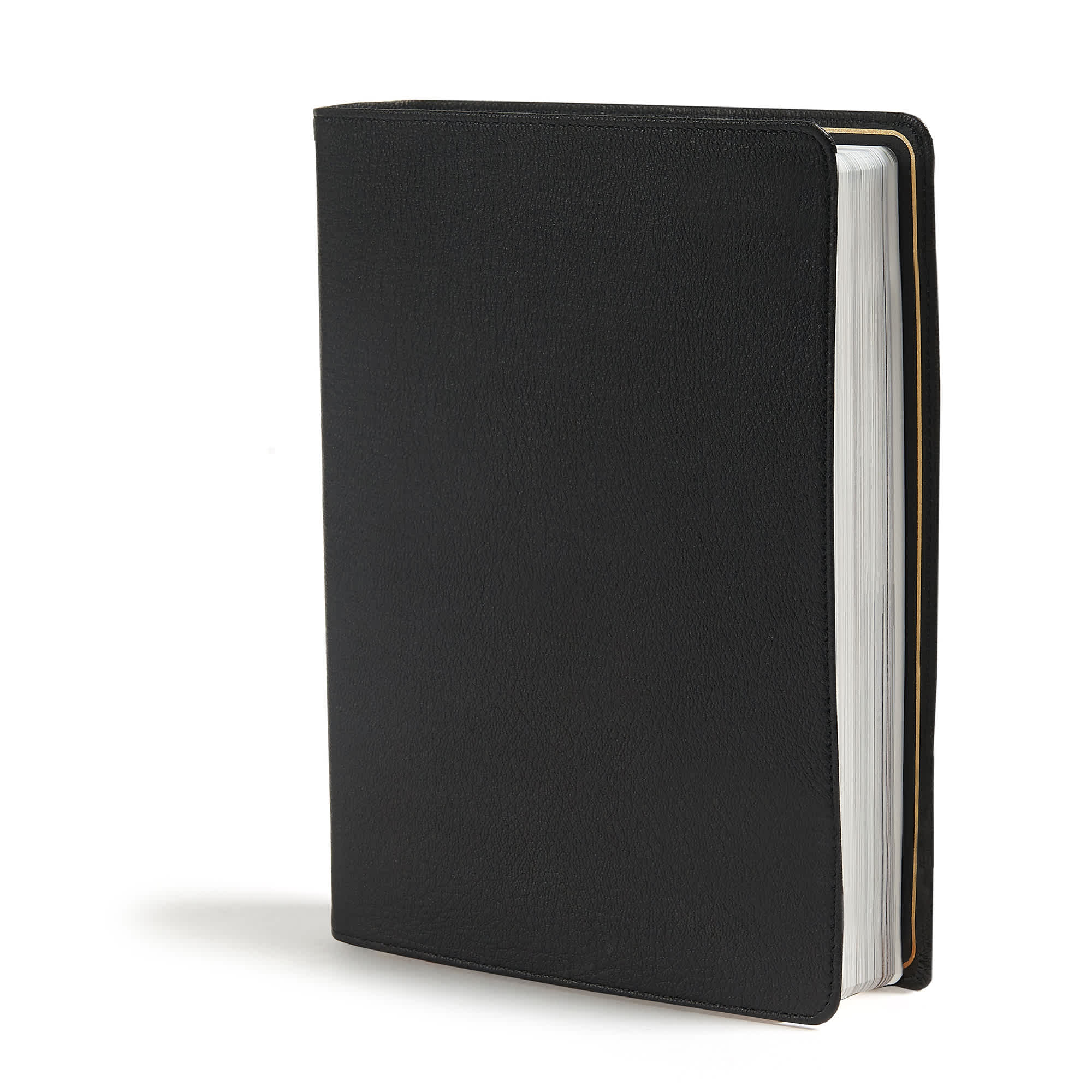 slide 3 of 10 for CSB Holy Land Illustrated Bible, Premium Black Genuine Leather