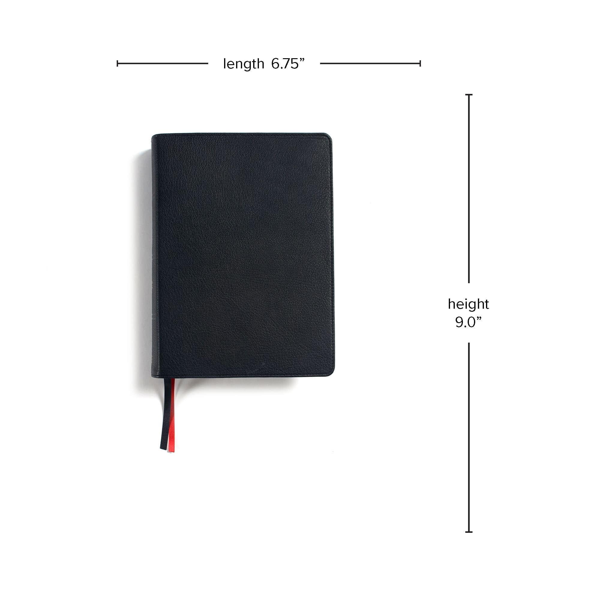 slide 8 of 10 for CSB Holy Land Illustrated Bible, Premium Black Genuine Leather