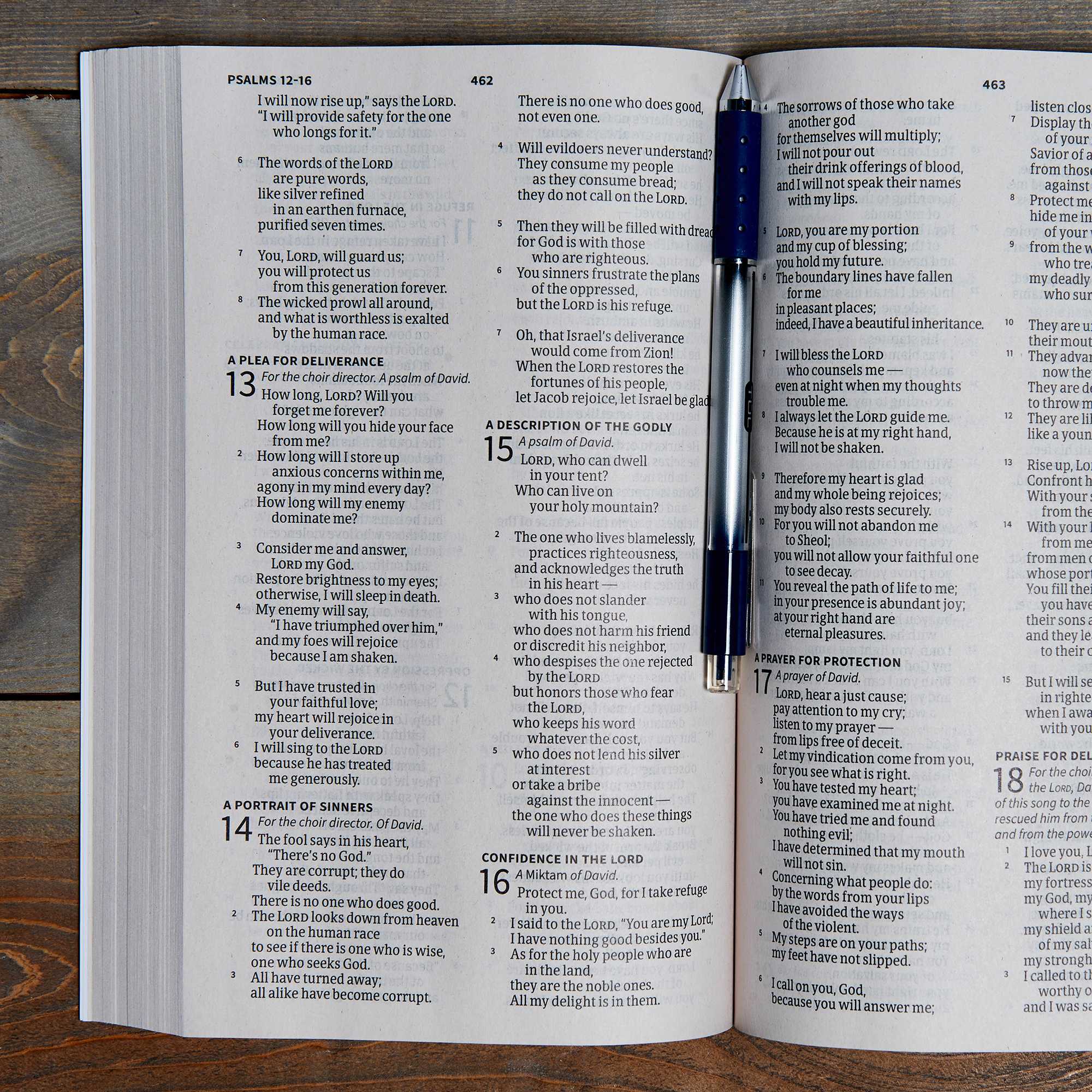 slide 6 of 8 for CSB Outreach Bible, Large Print Edition