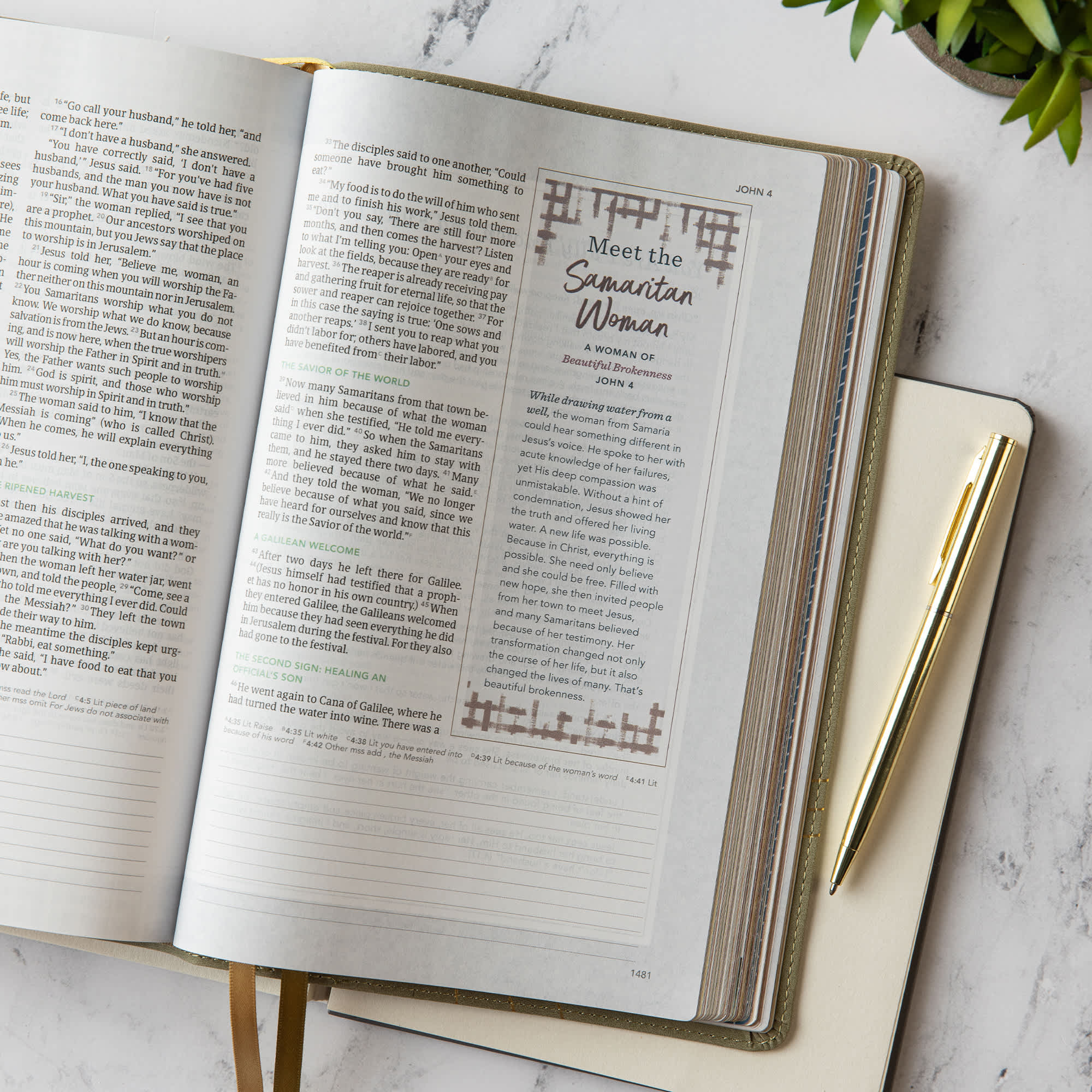 slide 7 of 10 for CSB (in)courage Devotional Bible, Sage LeatherTouch