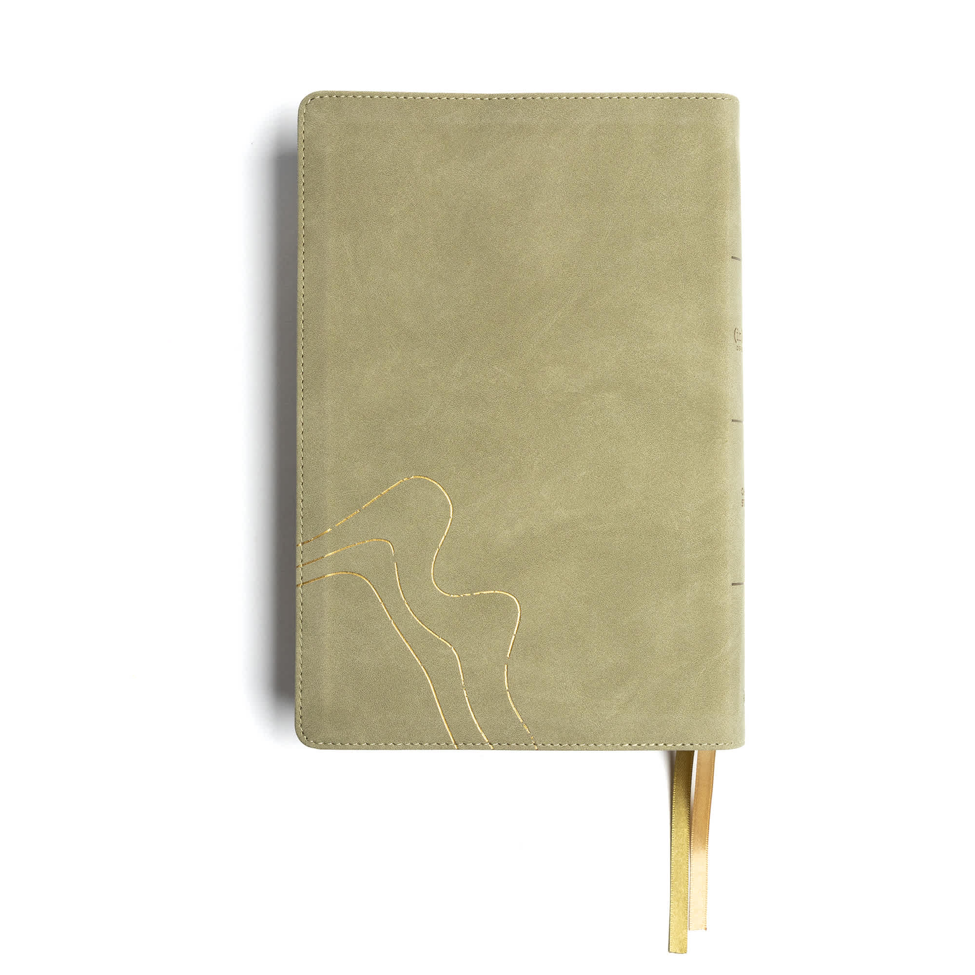 slide 10 of 10 for CSB (in)courage Devotional Bible, Sage LeatherTouch