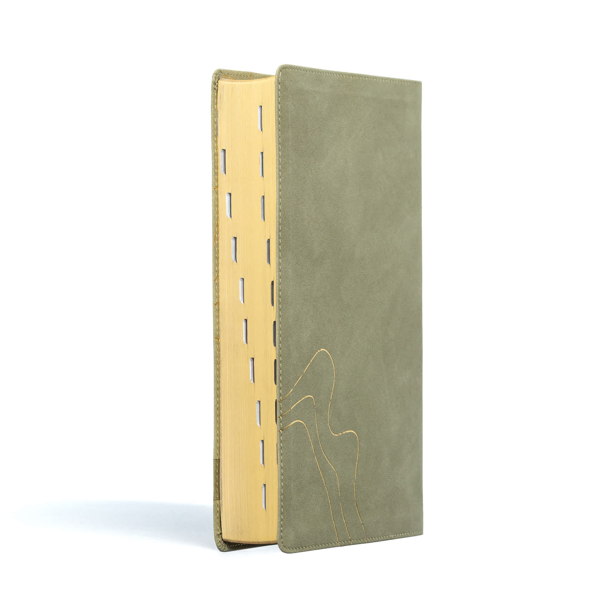 slide 3 of 10 for CSB (in)courage Devotional Bible, Sage LeatherTouch, Indexed