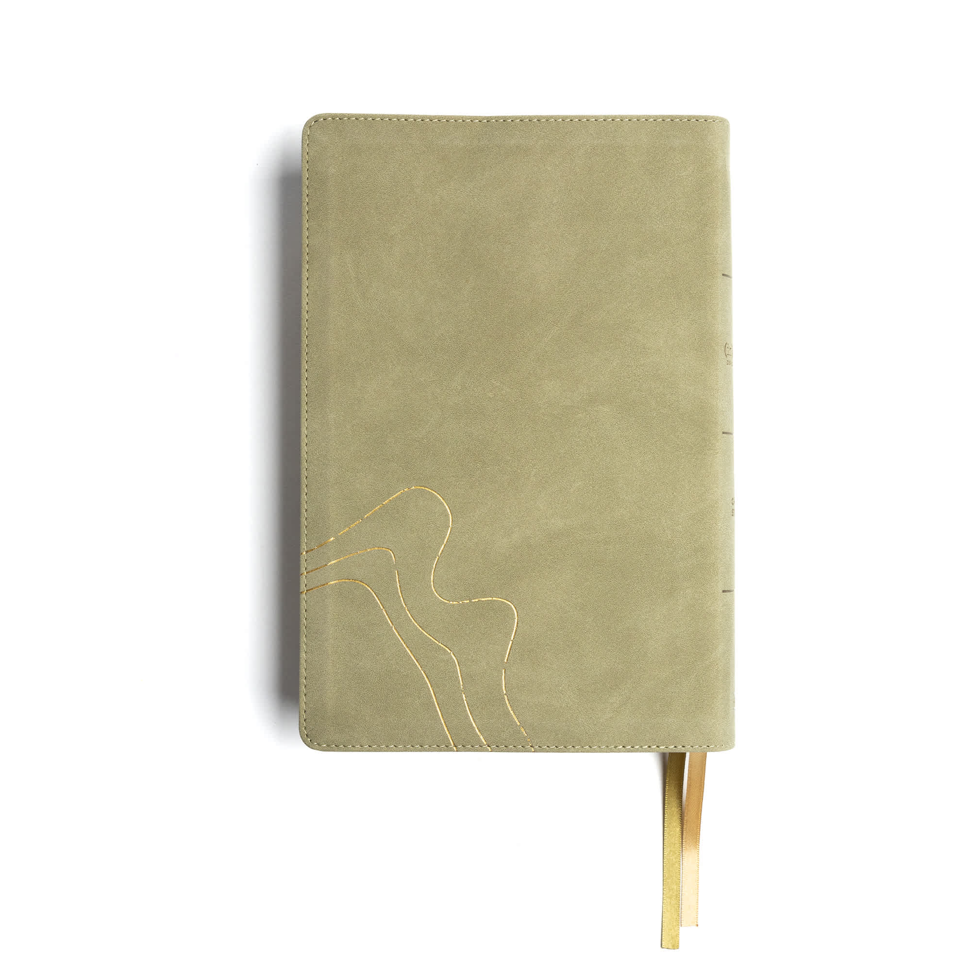 slide 10 of 10 for CSB (in)courage Devotional Bible, Sage LeatherTouch, Indexed