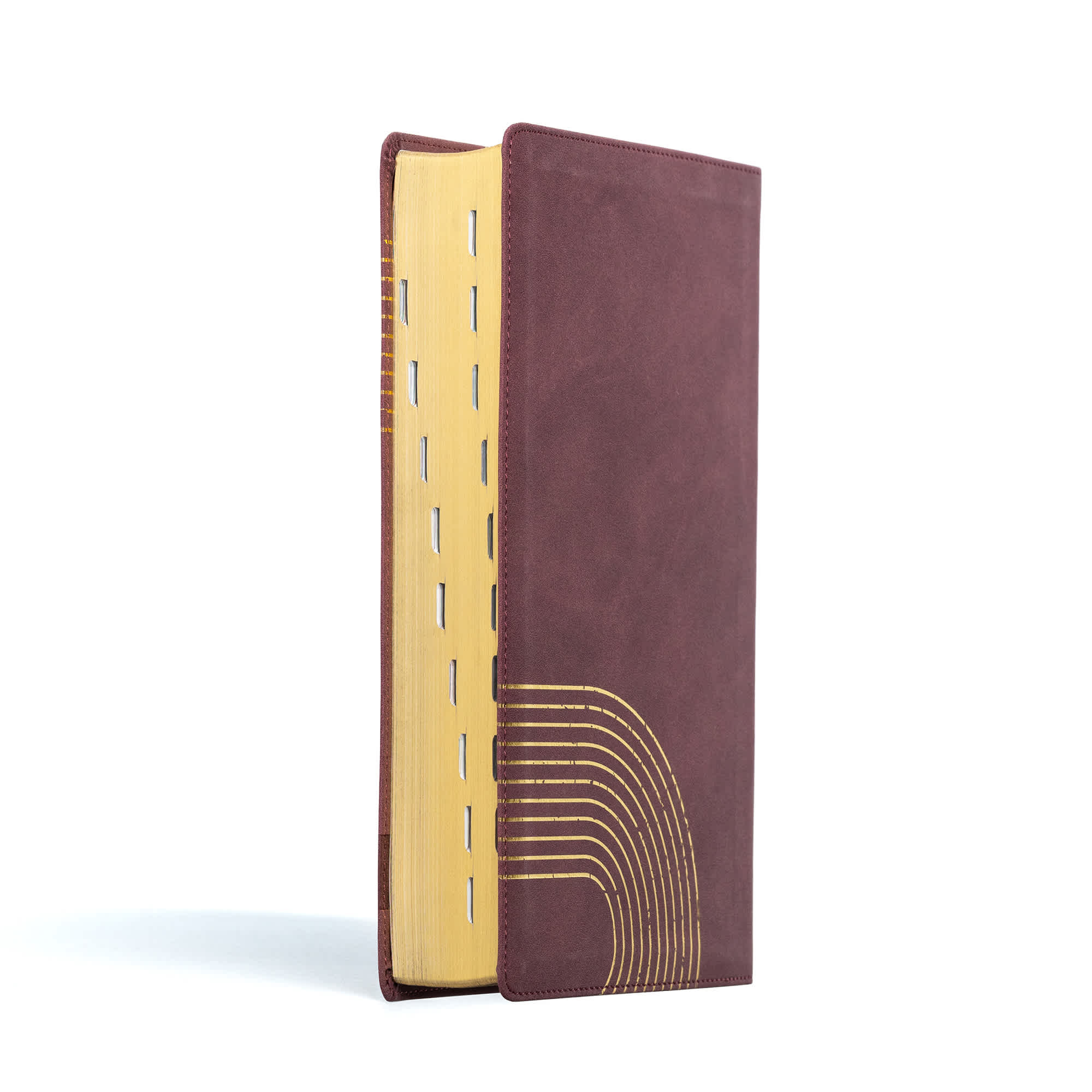 slide 3 of 10 for CSB (in)courage Devotional Bible, Bordeaux LeatherTouch, Indexed