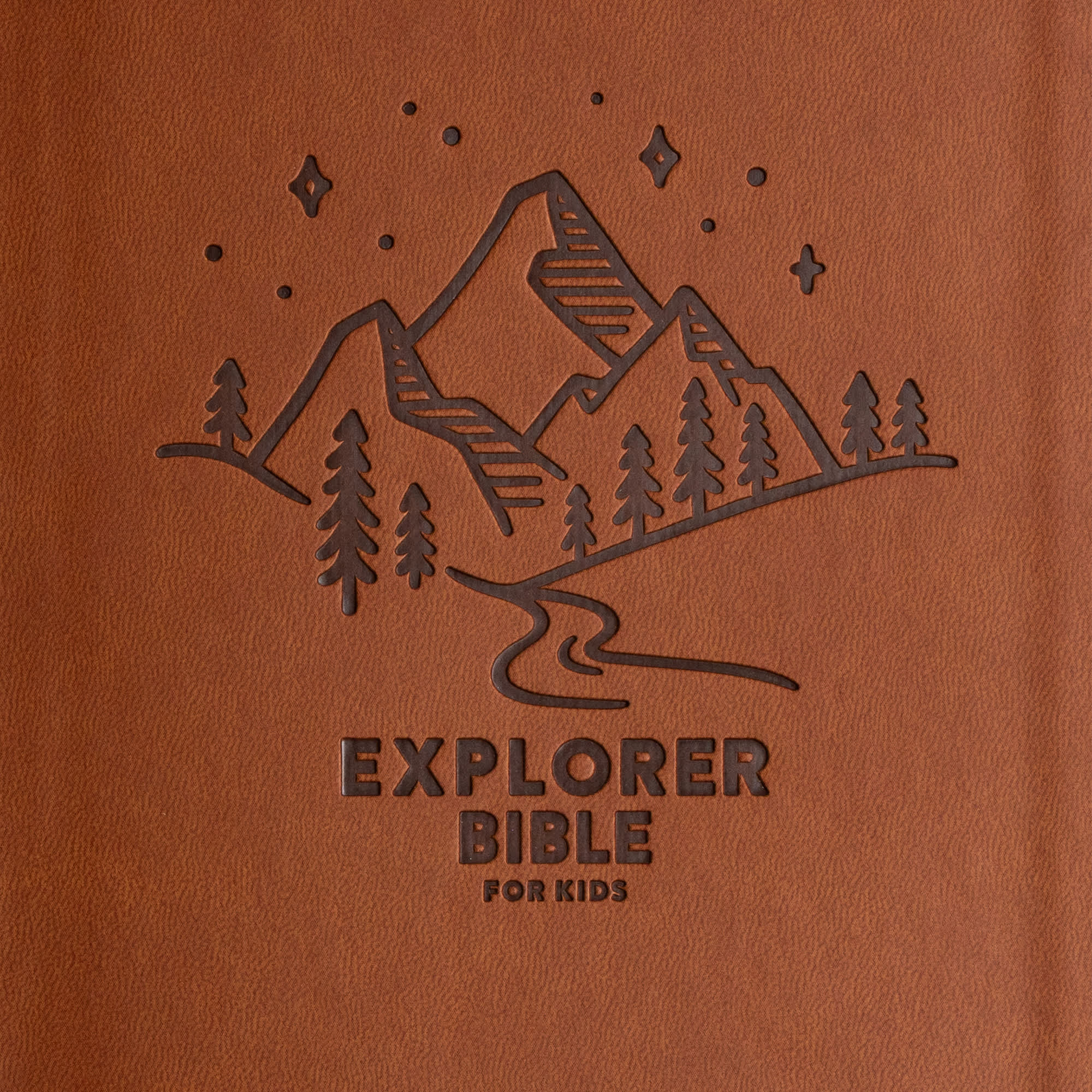 slide 9 of 10 for CSB Explorer Bible for Kids, Brown Mountains LeatherTouch