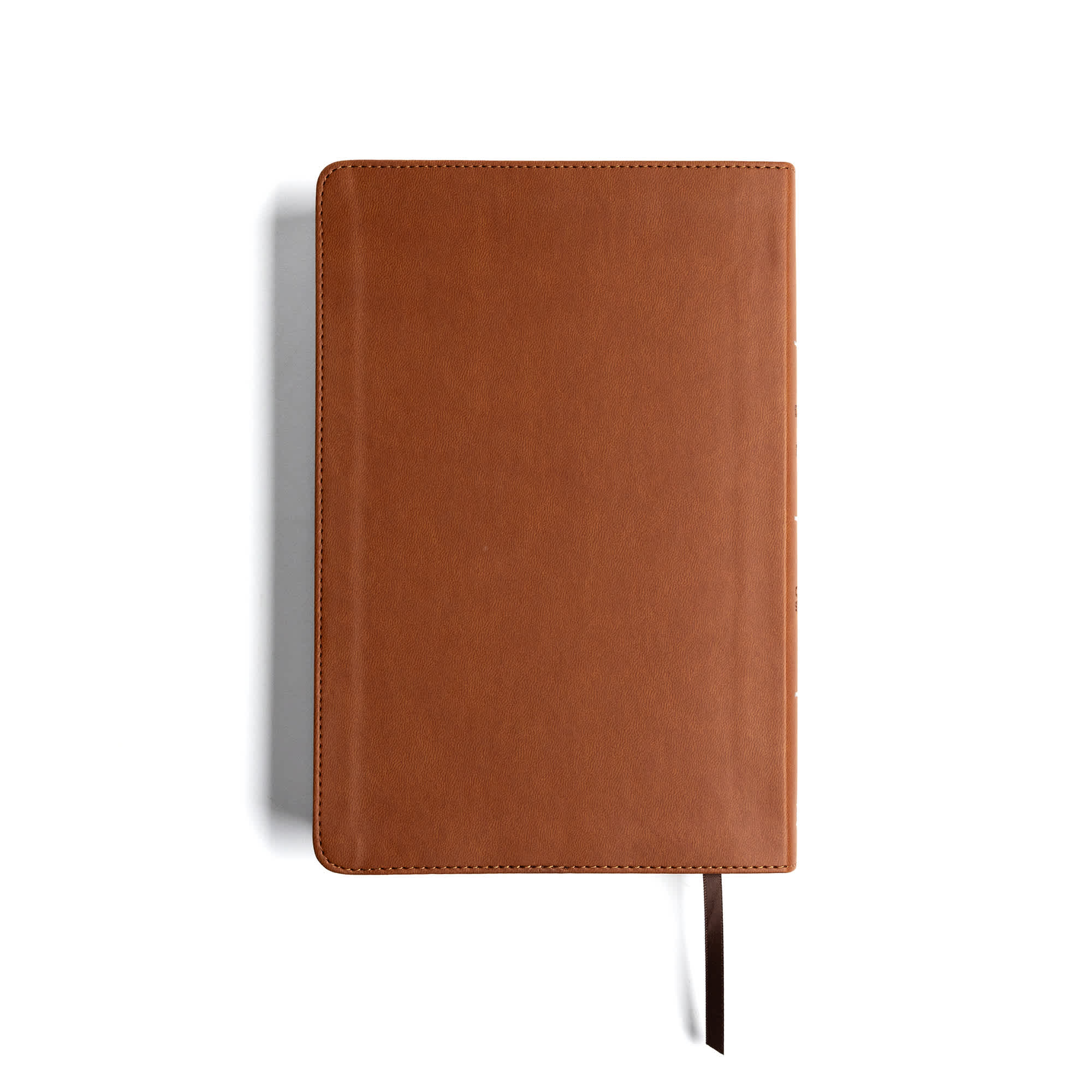 slide 10 of 10 for CSB Explorer Bible for Kids, Brown Mountains LeatherTouch