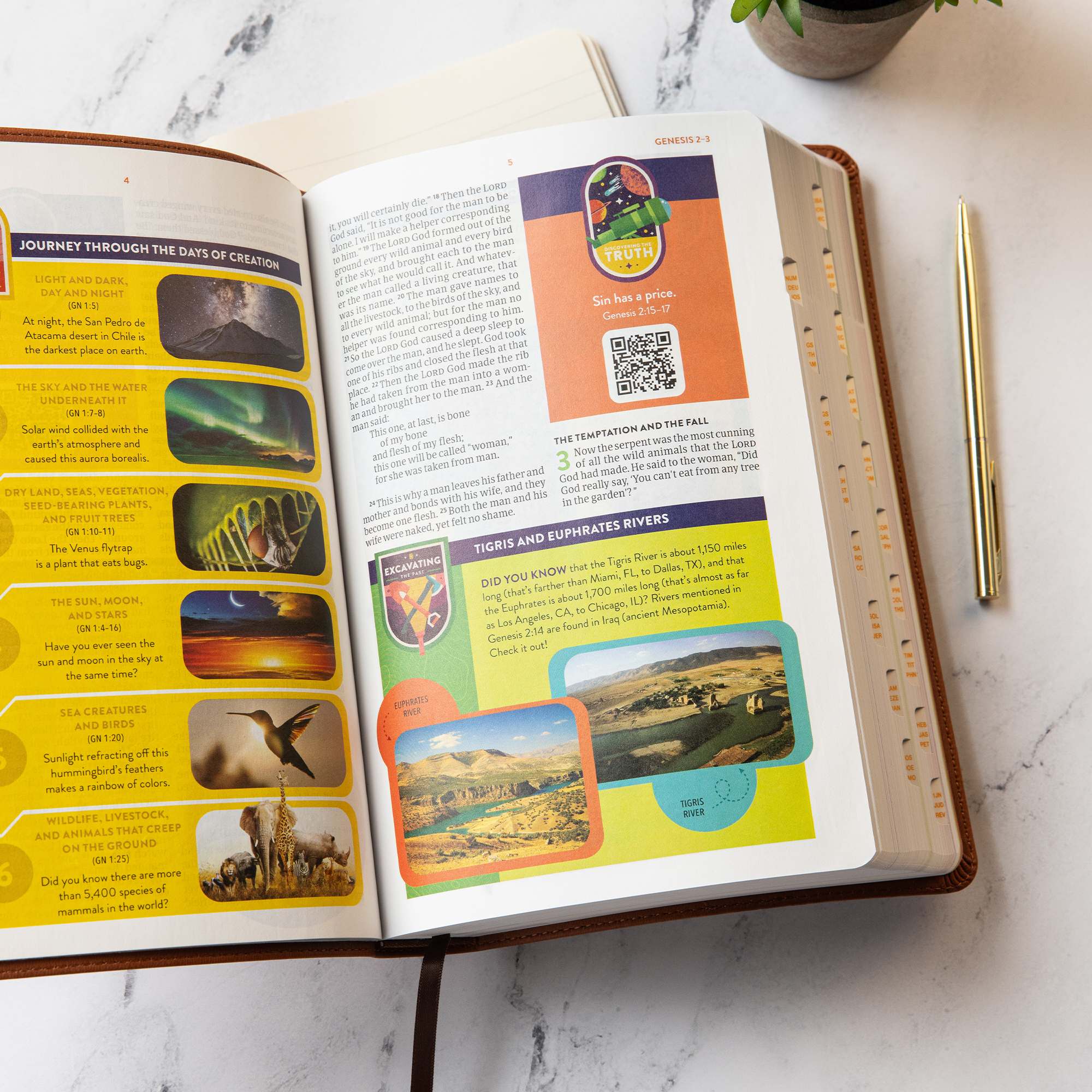 slide 4 of 10 for CSB Explorer Bible for Kids, Brown Mountains LeatherTouch, Indexed