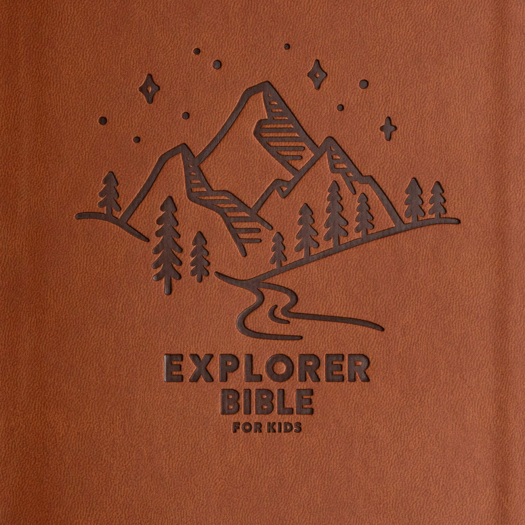 slide 9 of 10 for CSB Explorer Bible for Kids, Brown Mountains LeatherTouch, Indexed