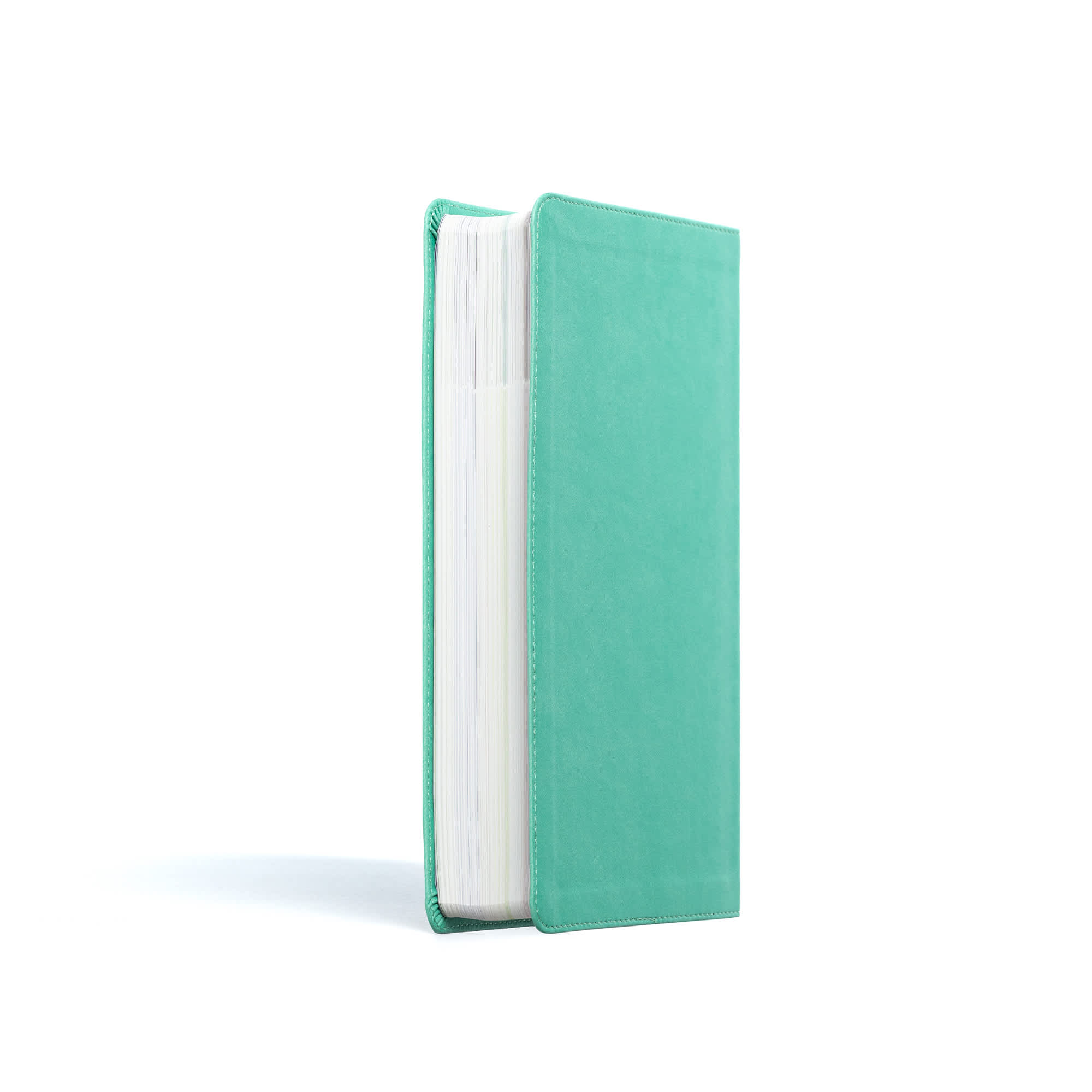 slide 3 of 10 for CSB Explorer Bible for Kids, Light Teal Mountains LeatherTouch