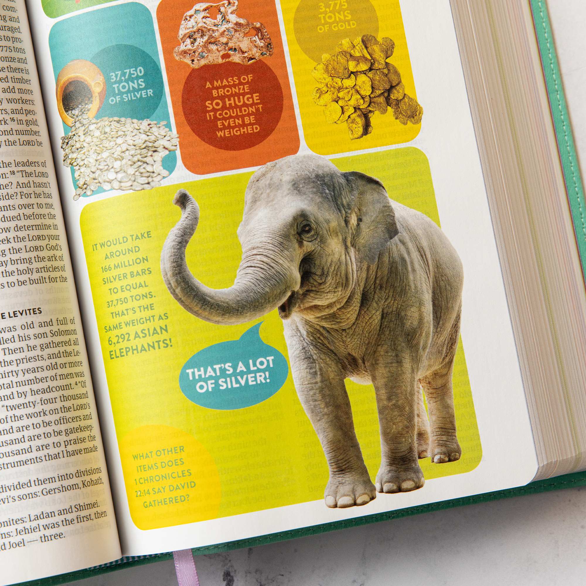 slide 7 of 10 for CSB Explorer Bible for Kids, Light Teal Mountains LeatherTouch