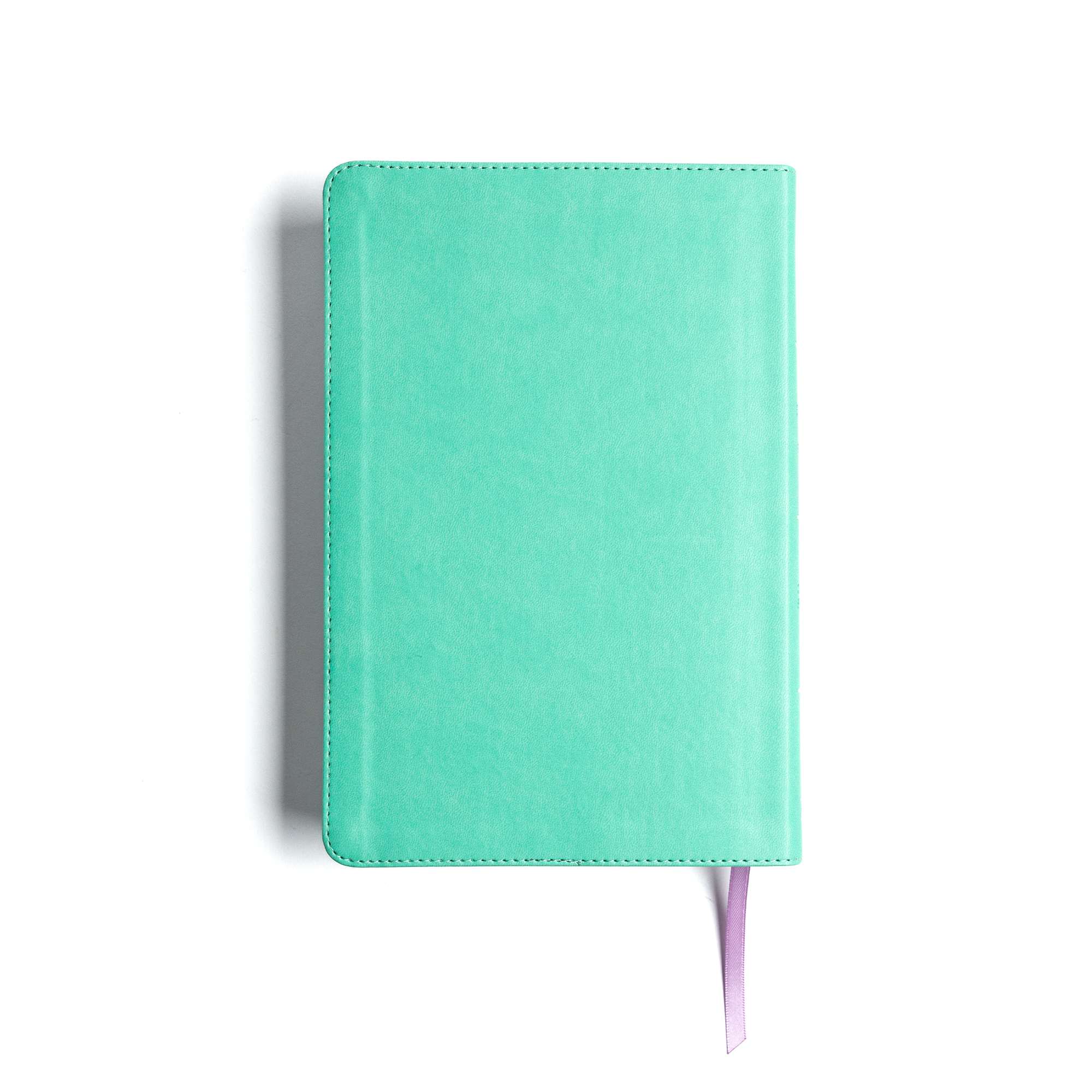 slide 10 of 10 for CSB Explorer Bible for Kids, Light Teal Mountains LeatherTouch