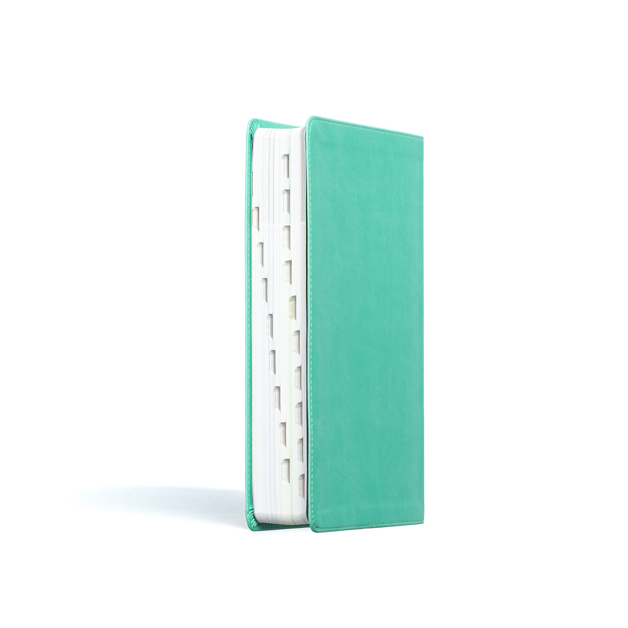 slide 3 of 10 for CSB Explorer Bible for Kids, Light Teal Mountains LeatherTouch, Indexed