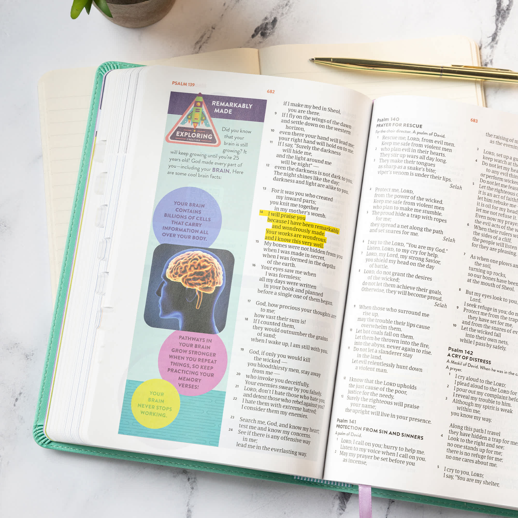 slide 6 of 10 for CSB Explorer Bible for Kids, Light Teal Mountains LeatherTouch, Indexed
