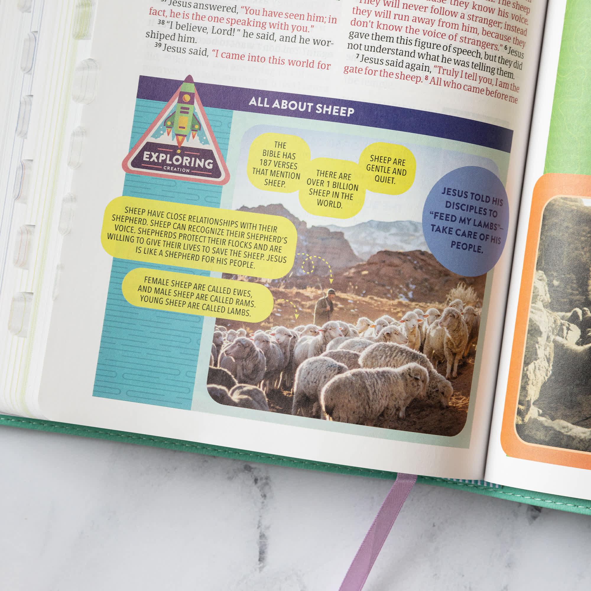slide 7 of 10 for CSB Explorer Bible for Kids, Light Teal Mountains LeatherTouch, Indexed