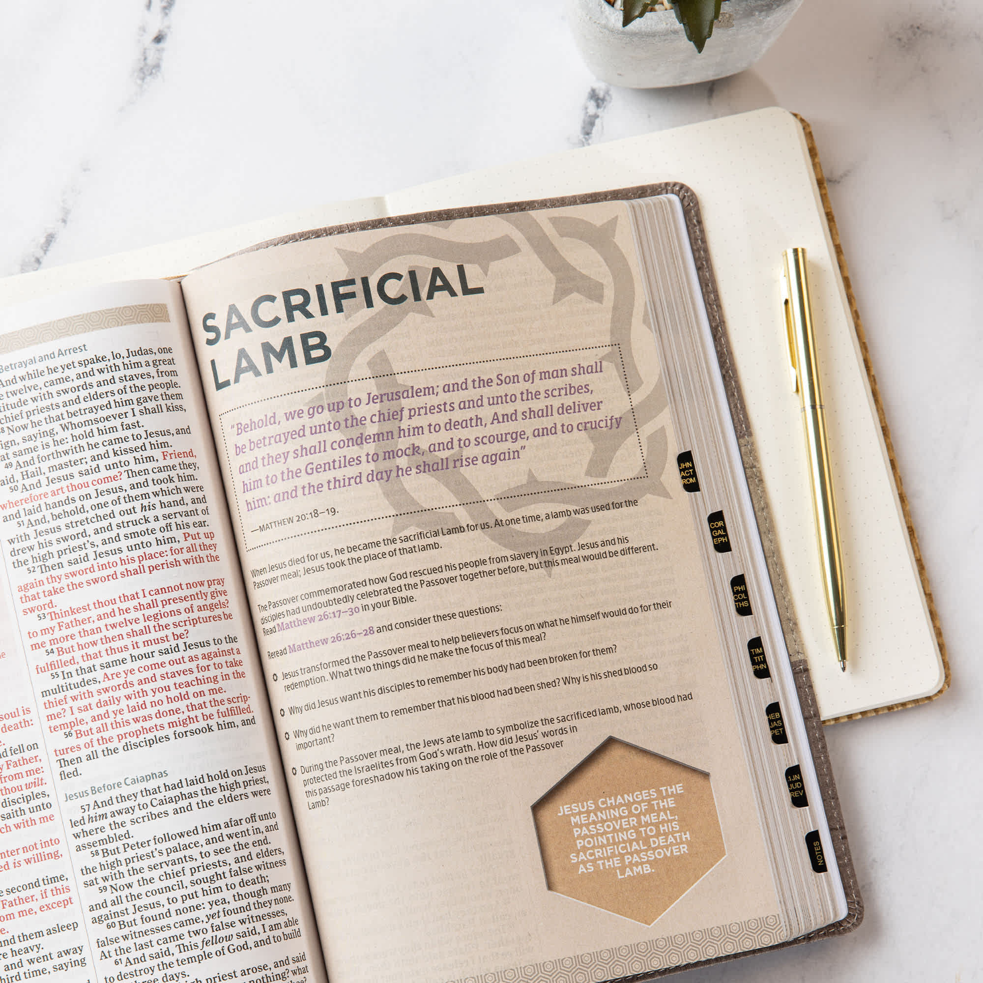 slide 5 of 10 for KJV Essential Teen Study Bible, Weathered Grey LeatherTouch, Indexed