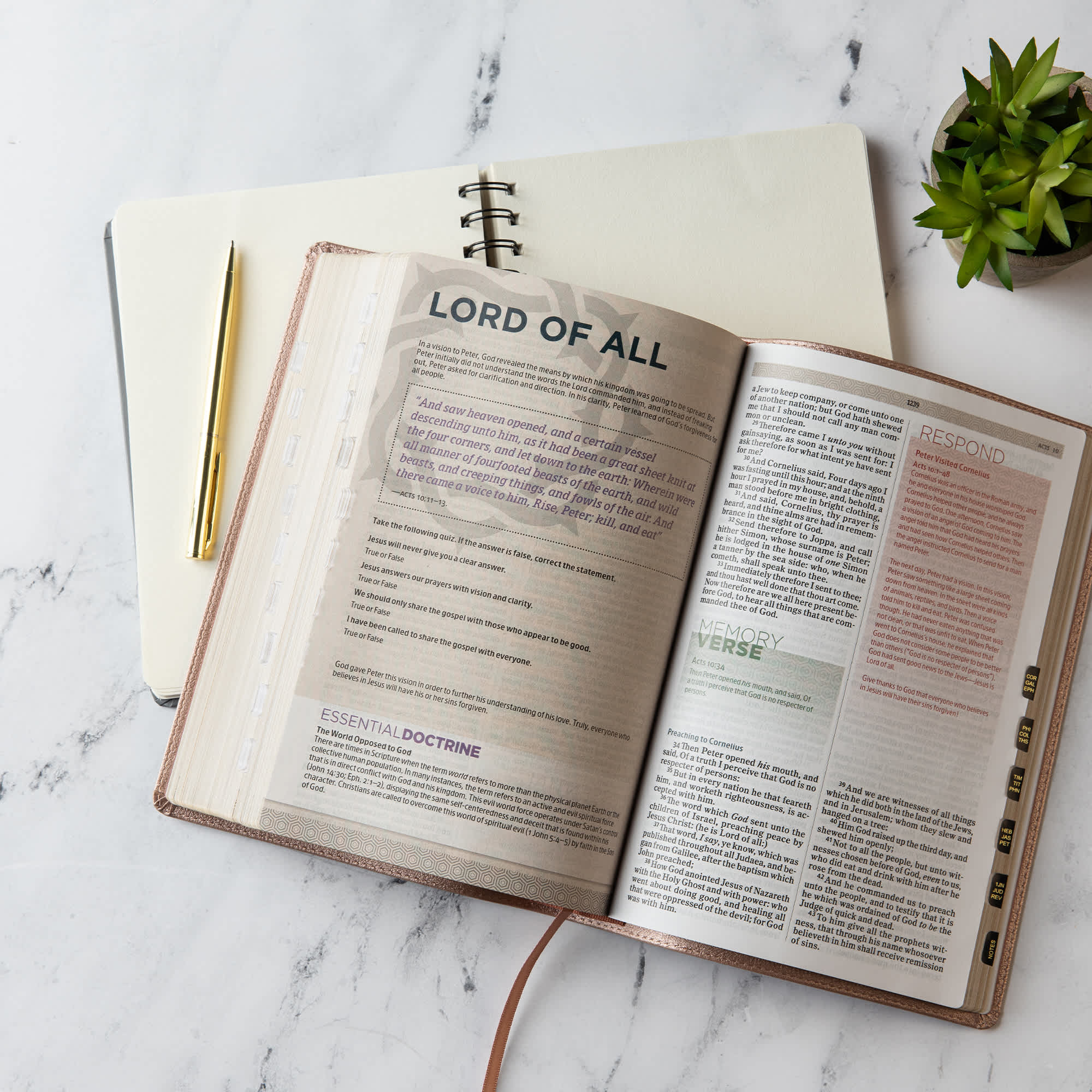 slide 5 of 10 for KJV Essential Teen Study Bible, Rose Gold LeatherTouch, Indexed