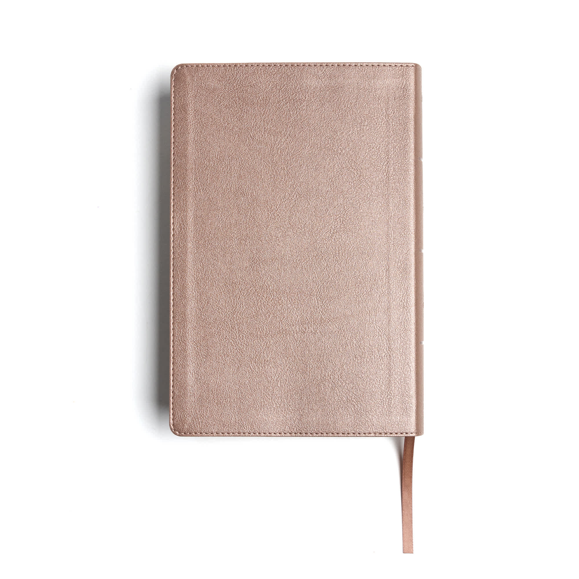 slide 10 of 10 for KJV Essential Teen Study Bible, Rose Gold LeatherTouch, Indexed