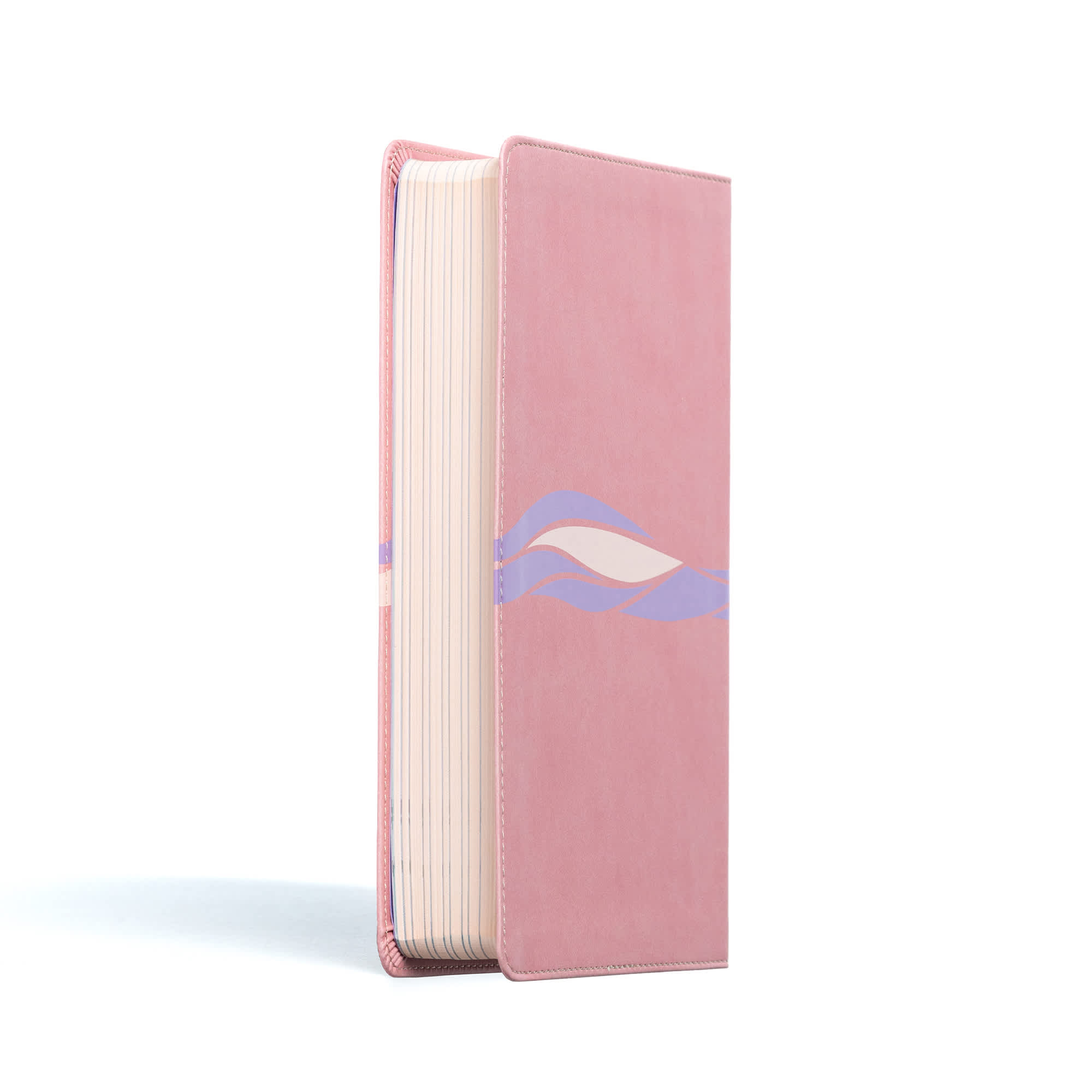 slide 3 of 10 for CSB Easy-for-Me Bible for Early Readers, Coral Pink LeatherTouch