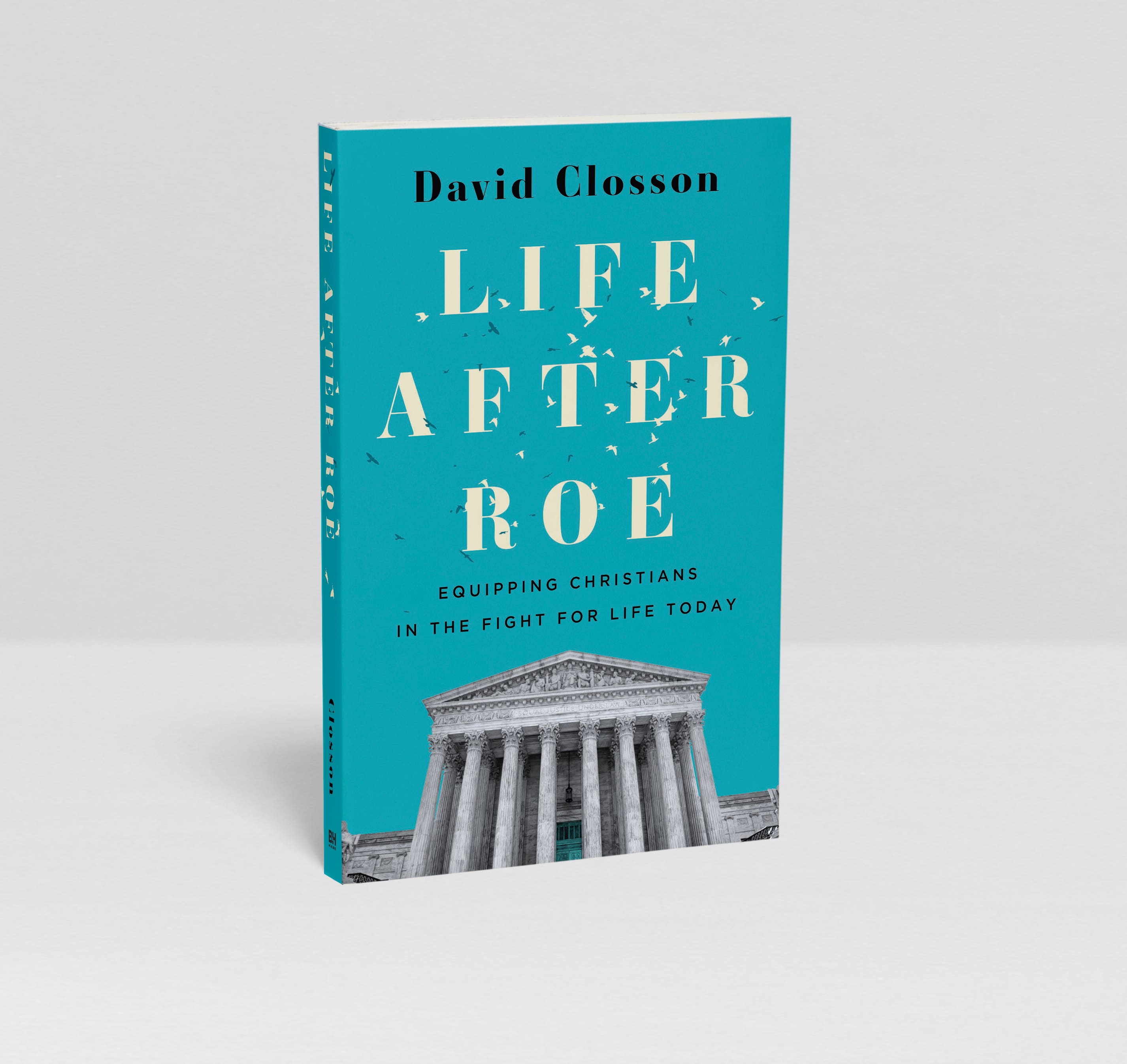 slide 3 of 3 for Life After Roe