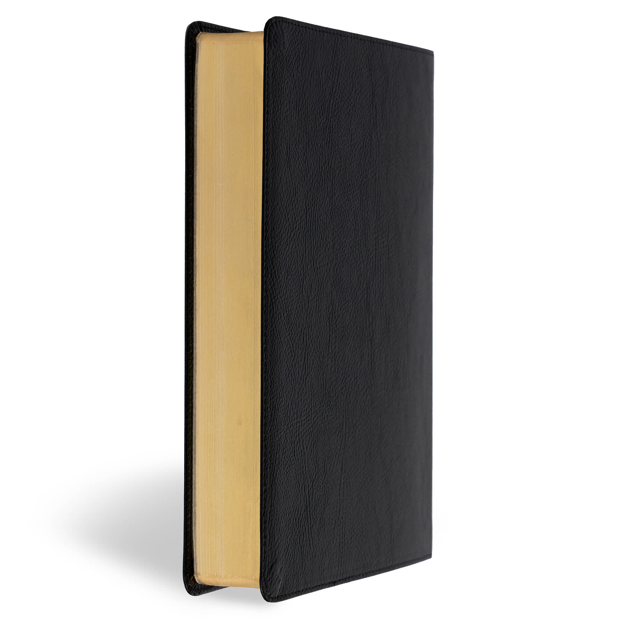 slide 4 of 12 for CSB Everyday Study Bible, Black Bonded Leather