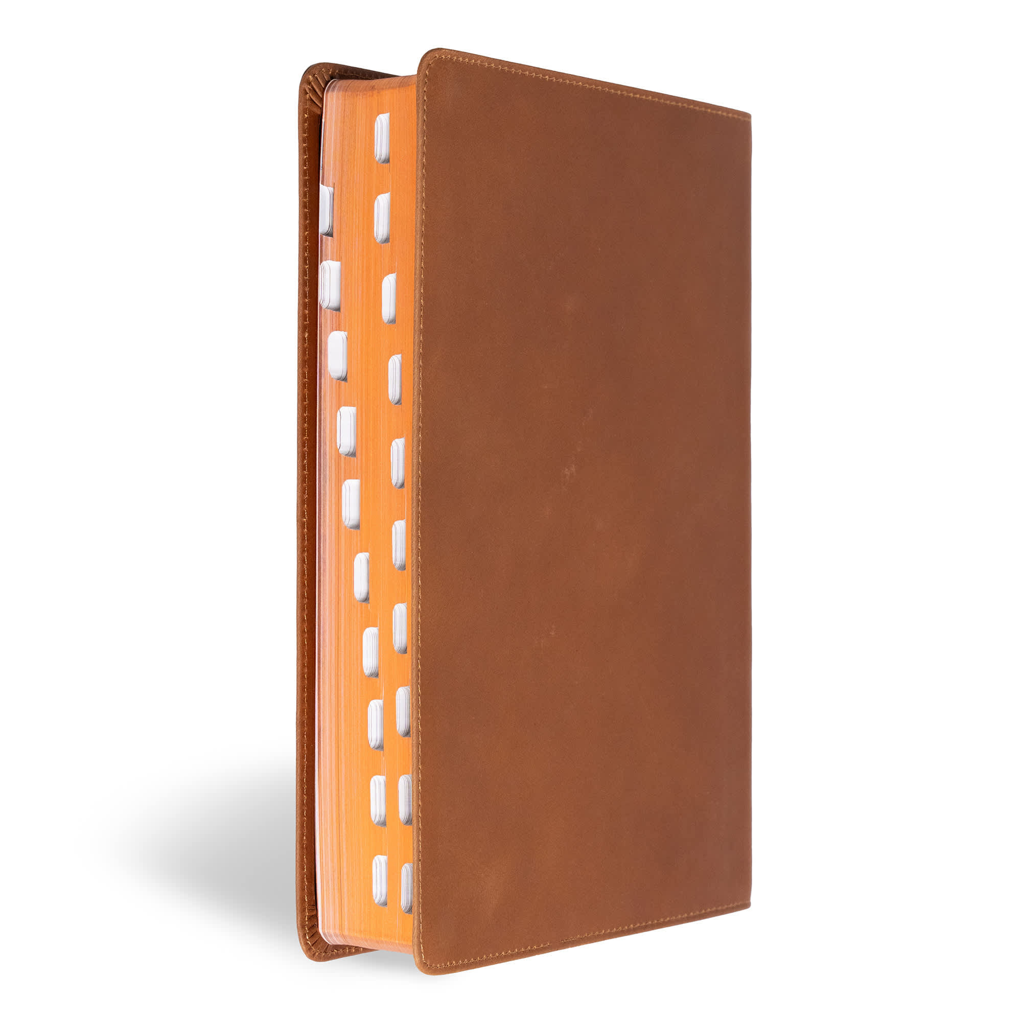 slide 3 of 10 for CSB Men's Daily Bible, Brown Genuine Leather, Indexed