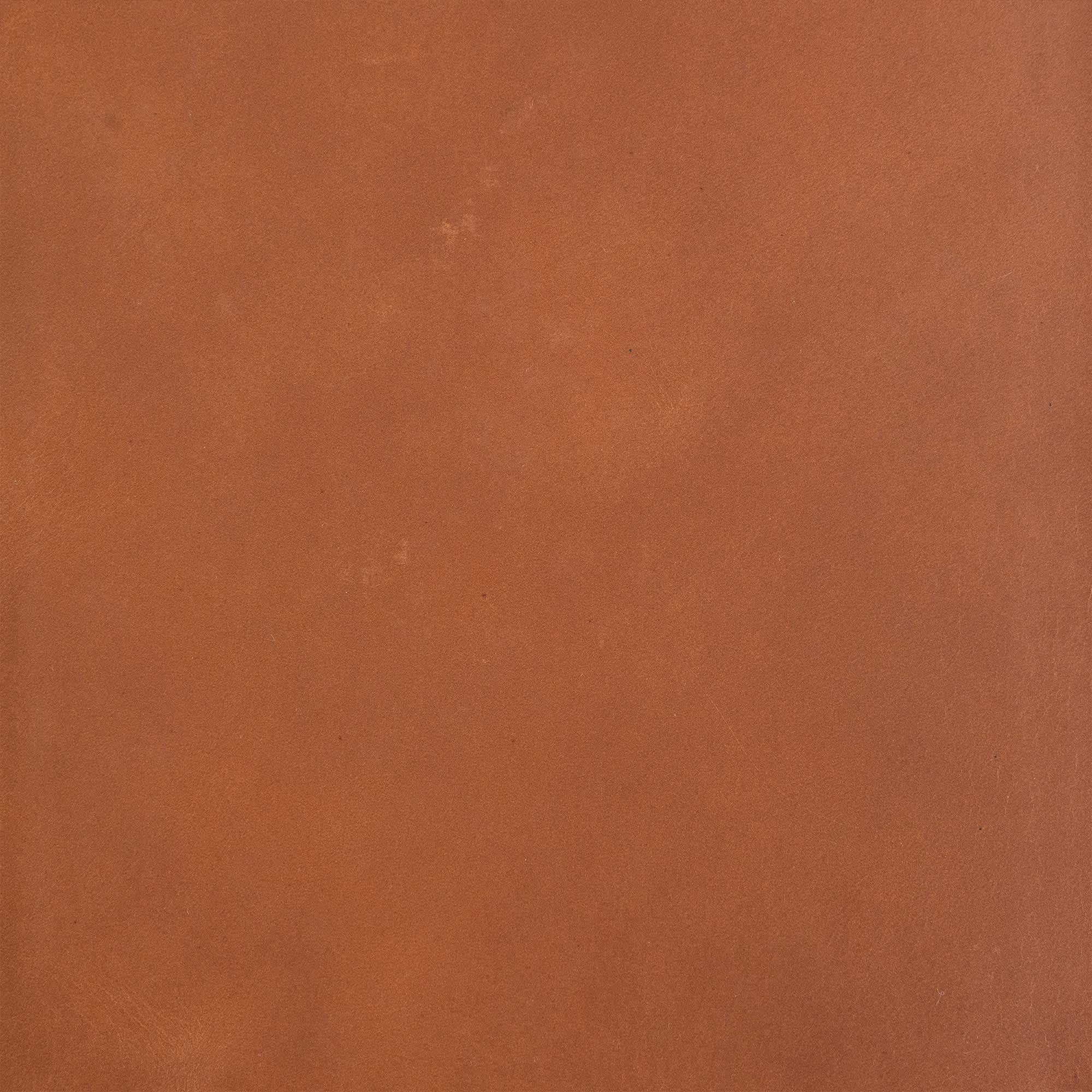 slide 9 of 10 for CSB Men's Daily Bible, Brown Genuine Leather, Indexed
