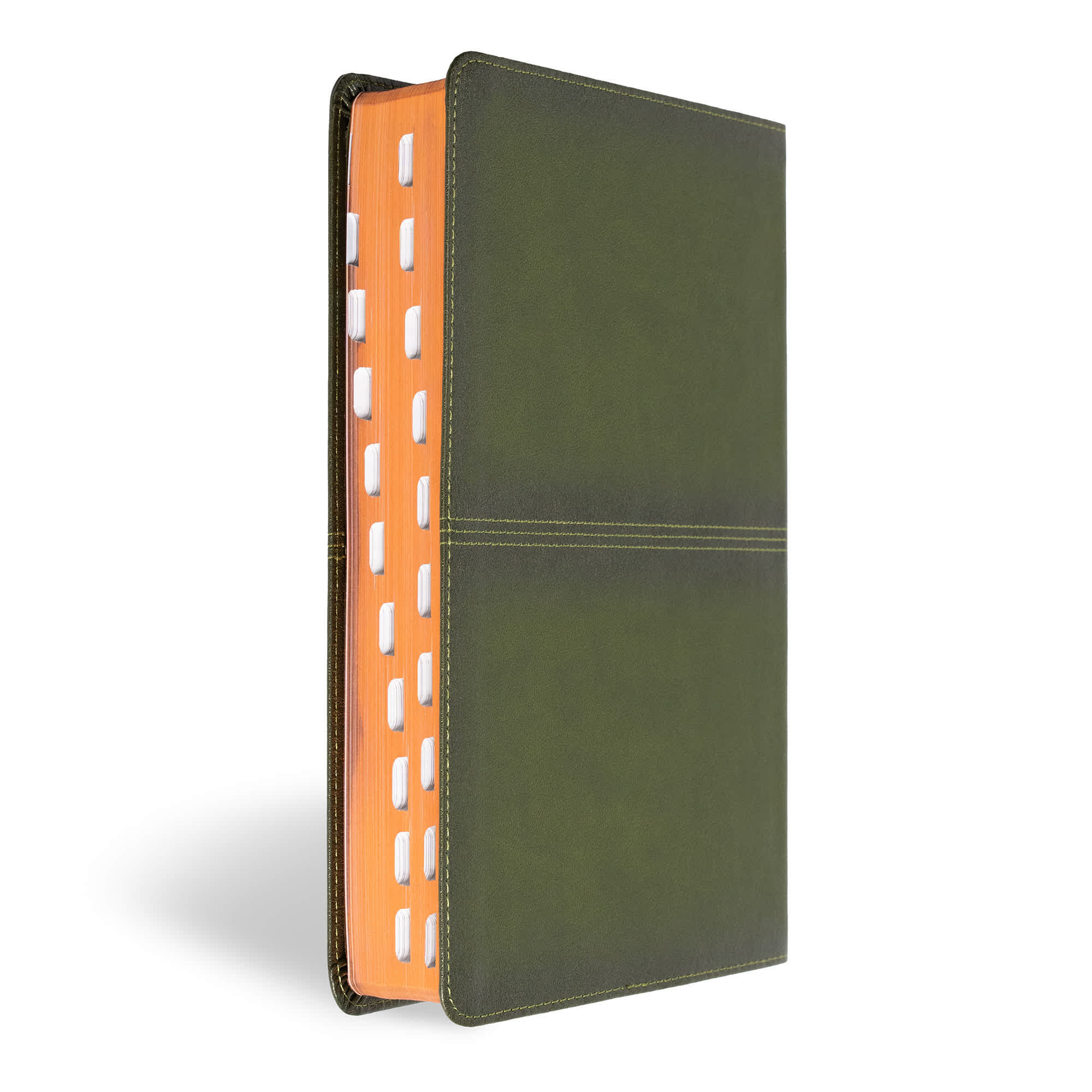 slide 3 of 11 for CSB Men's Daily Bible, Olive LeatherTouch, Indexed