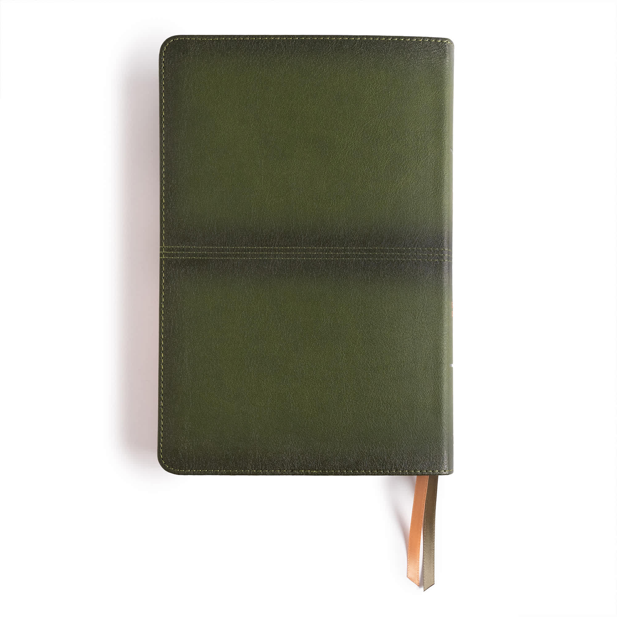 slide 11 of 11 for CSB Men's Daily Bible, Olive LeatherTouch, Indexed