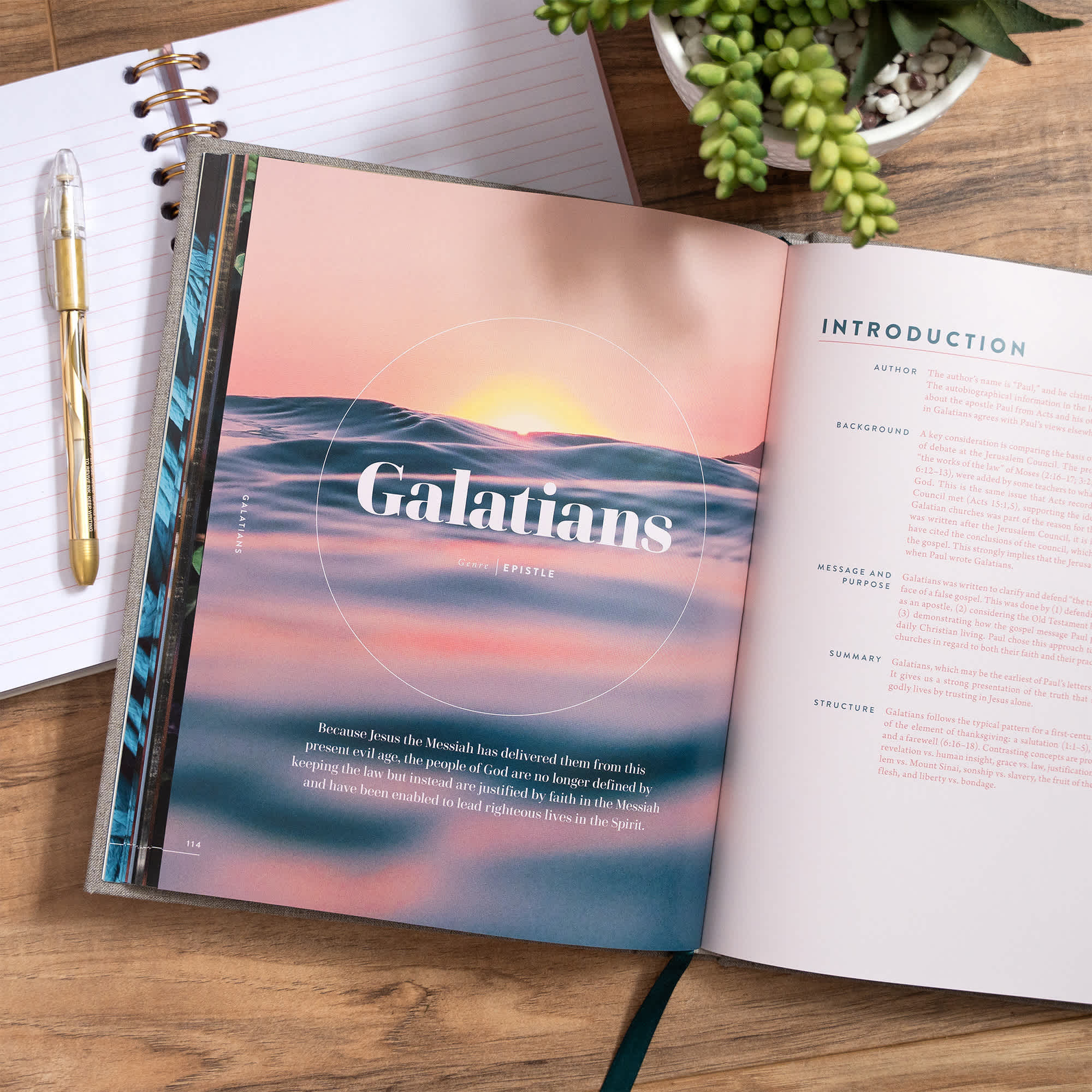 slide 6 of 9 for The New Testament Handbook, Stone Cloth Over Board