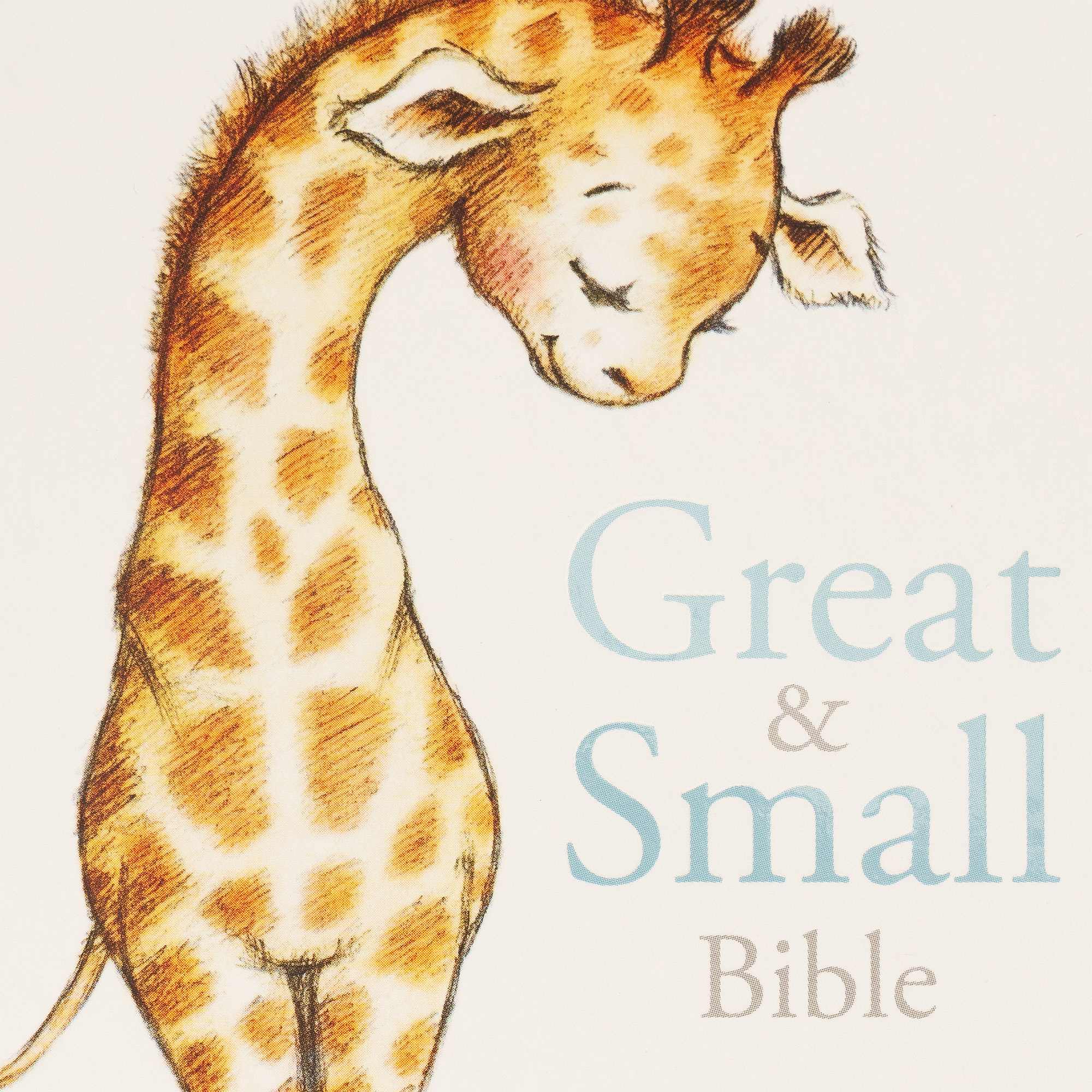 slide 8 of 9 for KJV Great and Small Bible, Hardcover