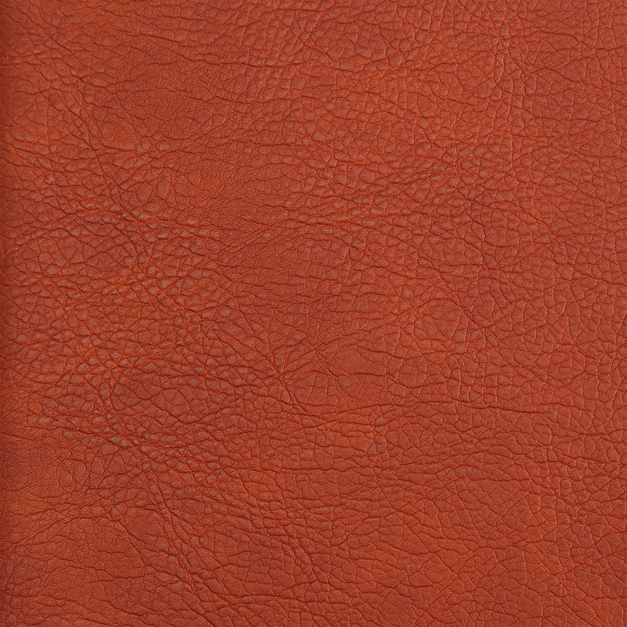 slide 7 of 8 for NASB Personal Size Bible, Burnt Sienna LeatherTouch