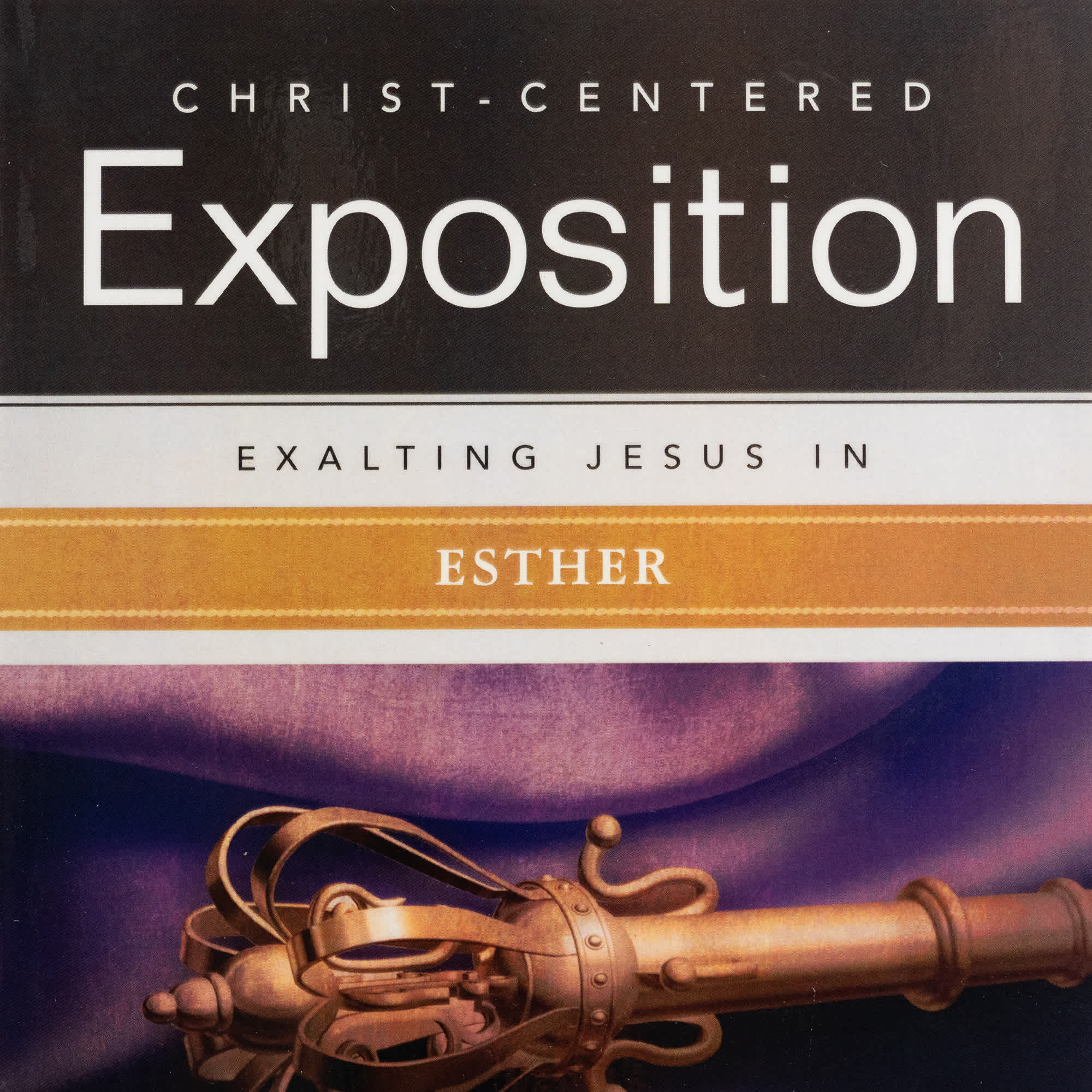 slide 14 of 15 for Exalting Jesus in Esther