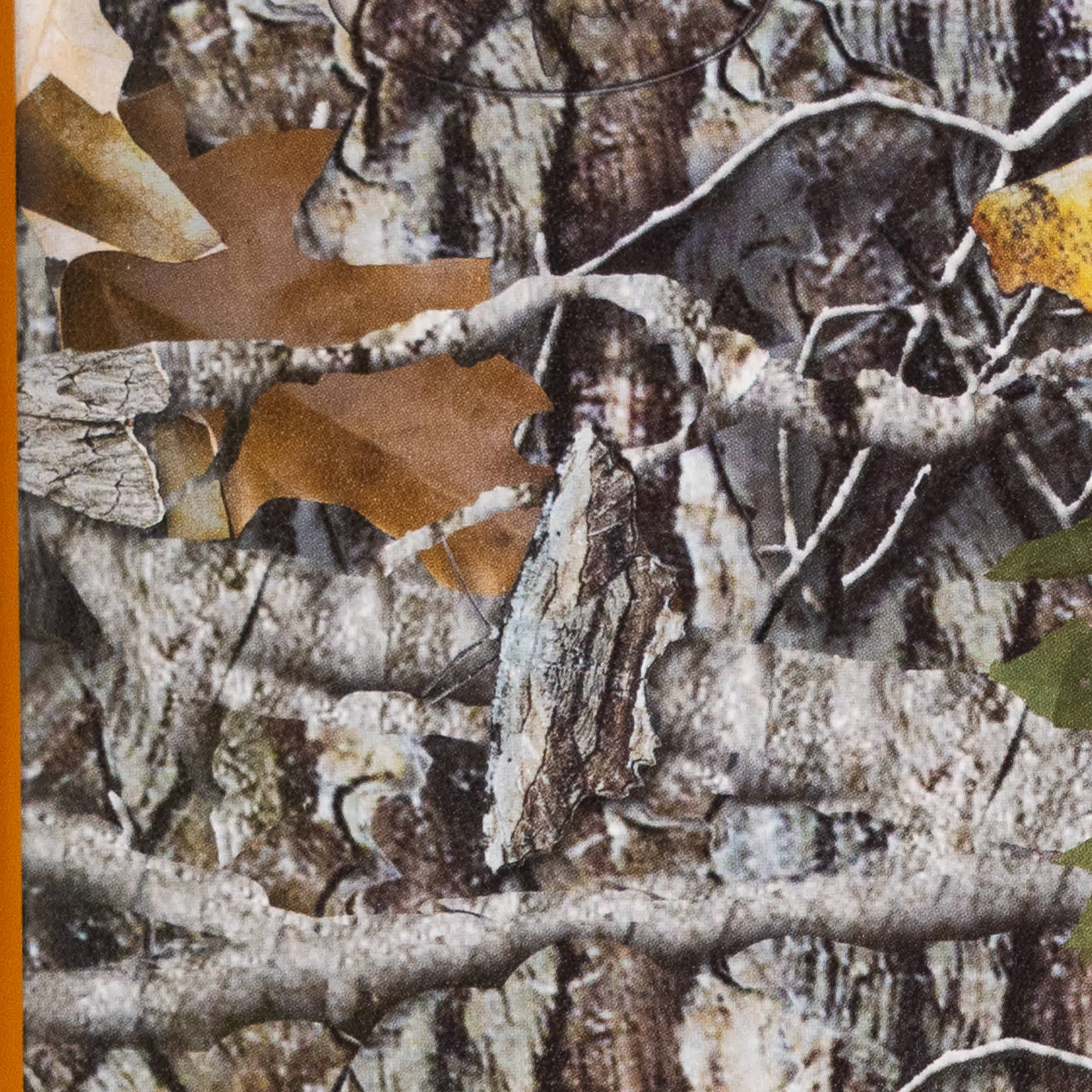 slide 7 of 7 for The KJV Sportsman's Bible: Large Print Personal Size Edition, Mothwing Camouflage LeatherTouch