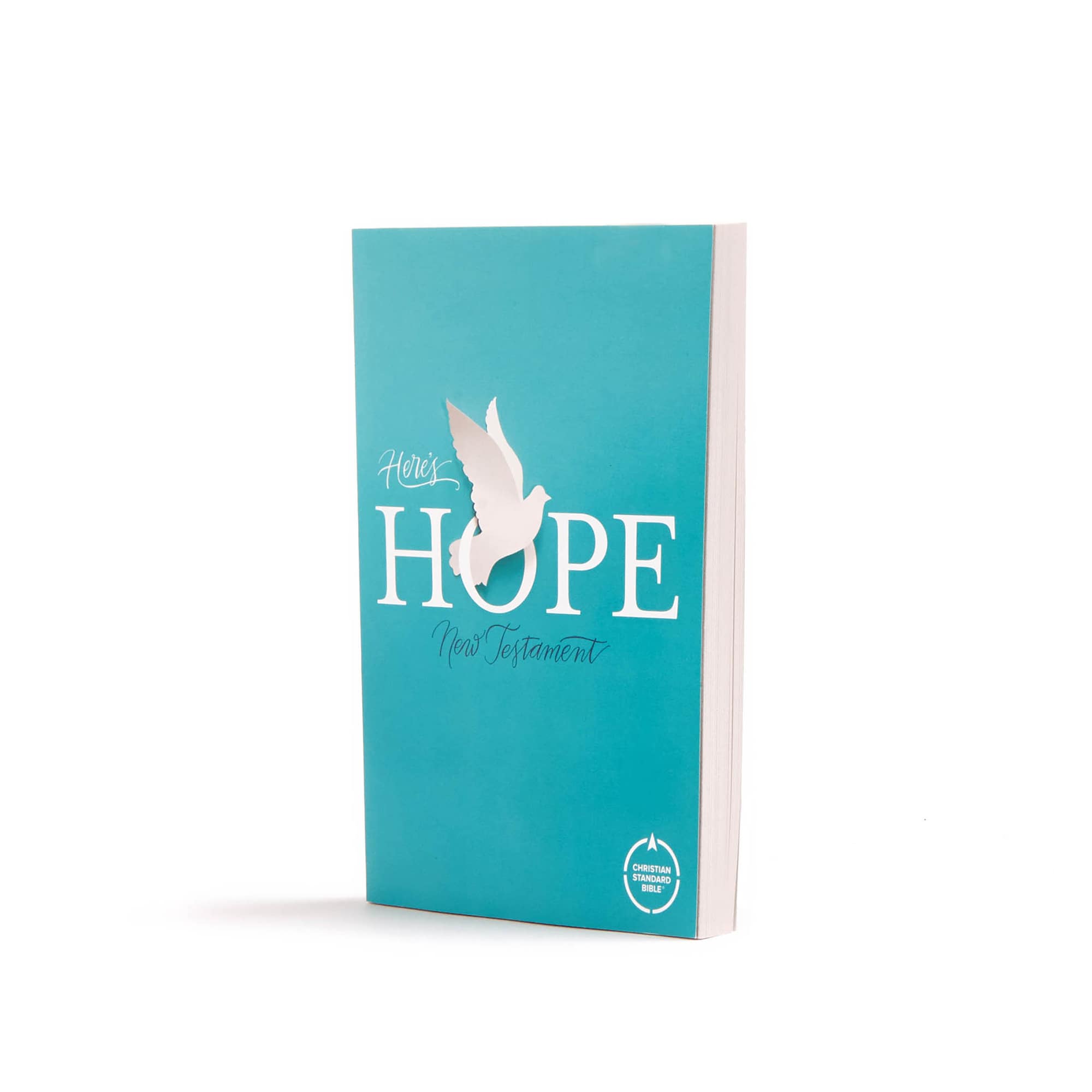 slide 4 of 11 for CSB Here's Hope New Testament