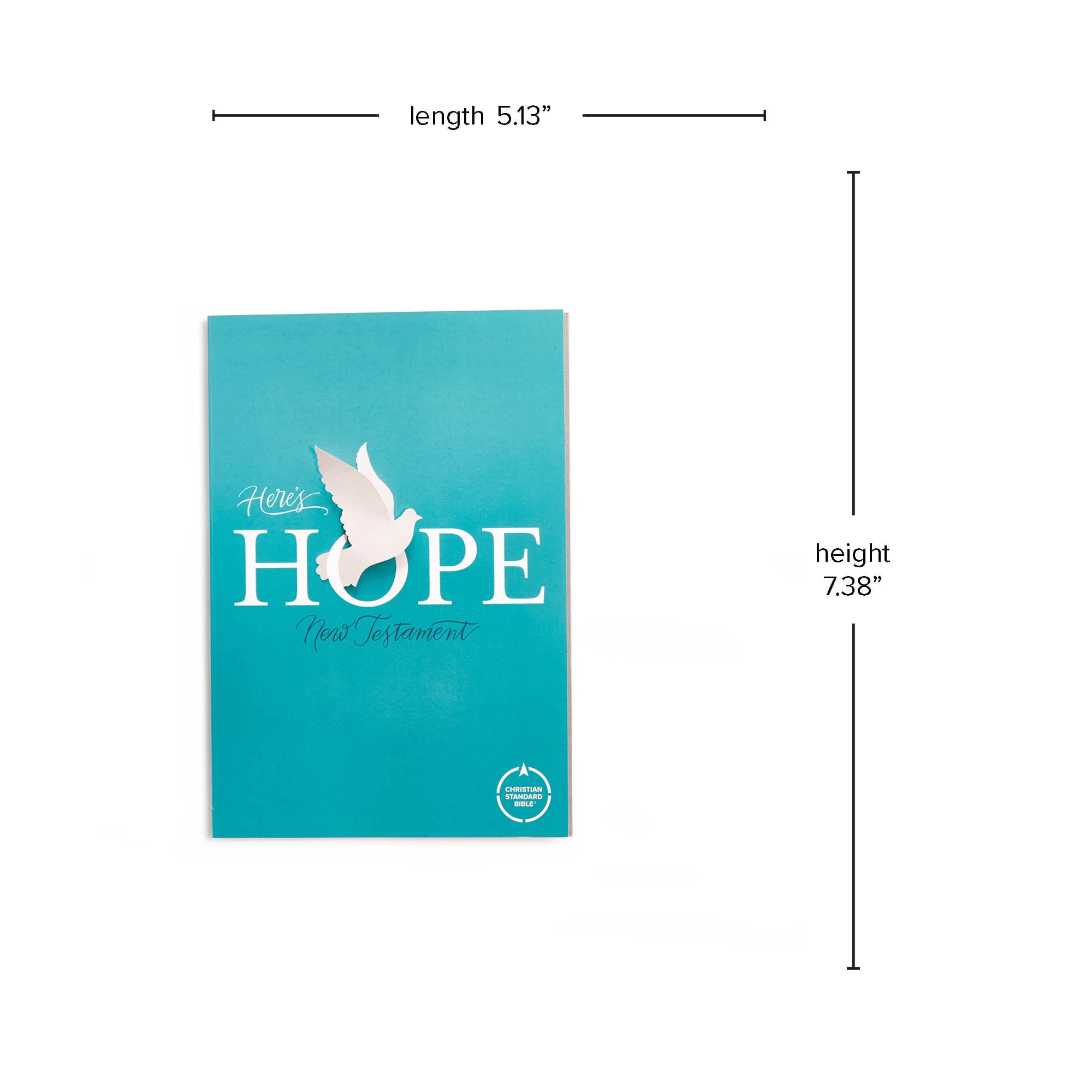 slide 8 of 11 for CSB Here's Hope New Testament