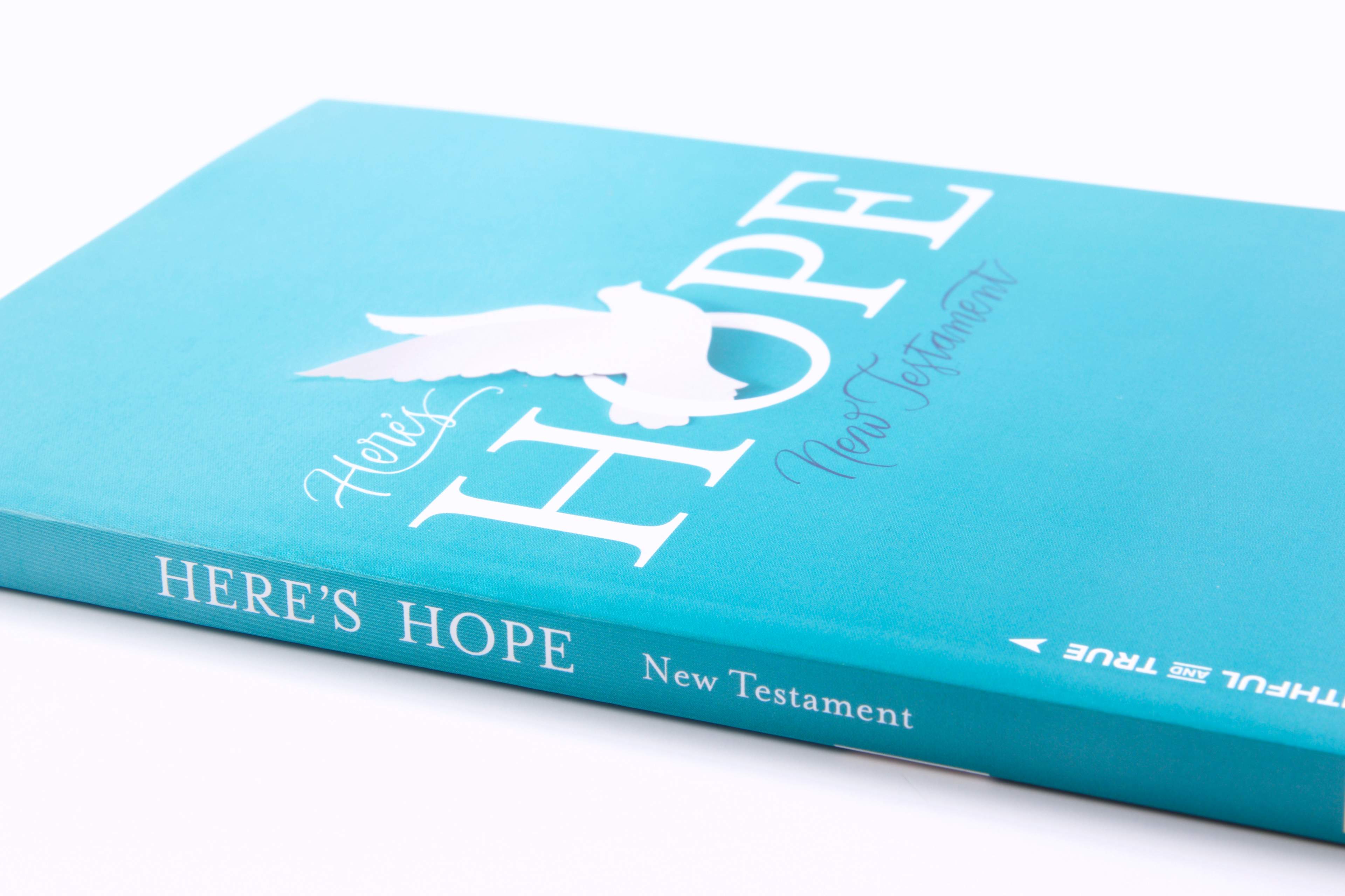 slide 11 of 11 for CSB Here's Hope New Testament